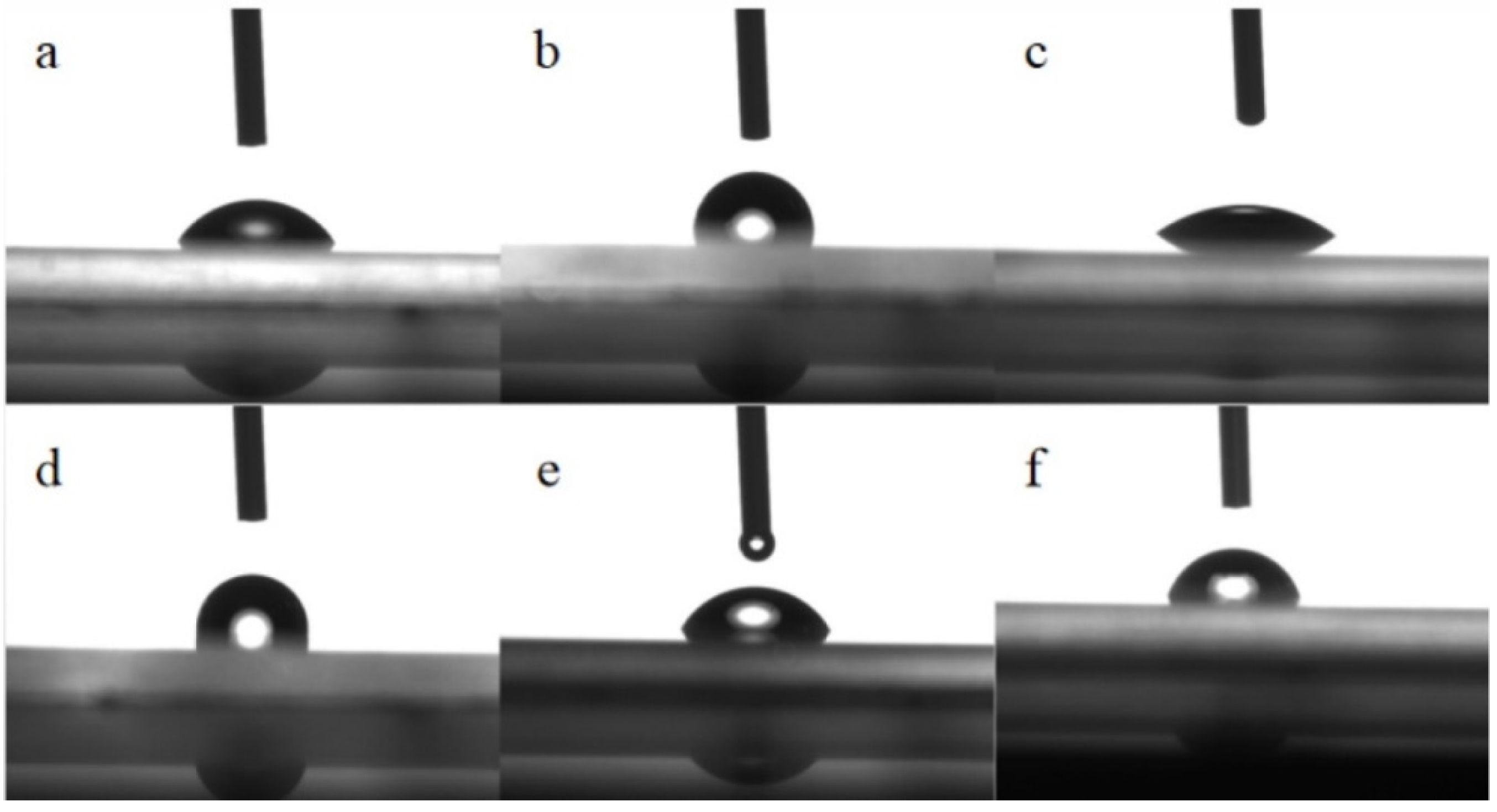 Catalysts 11 01366 g005
