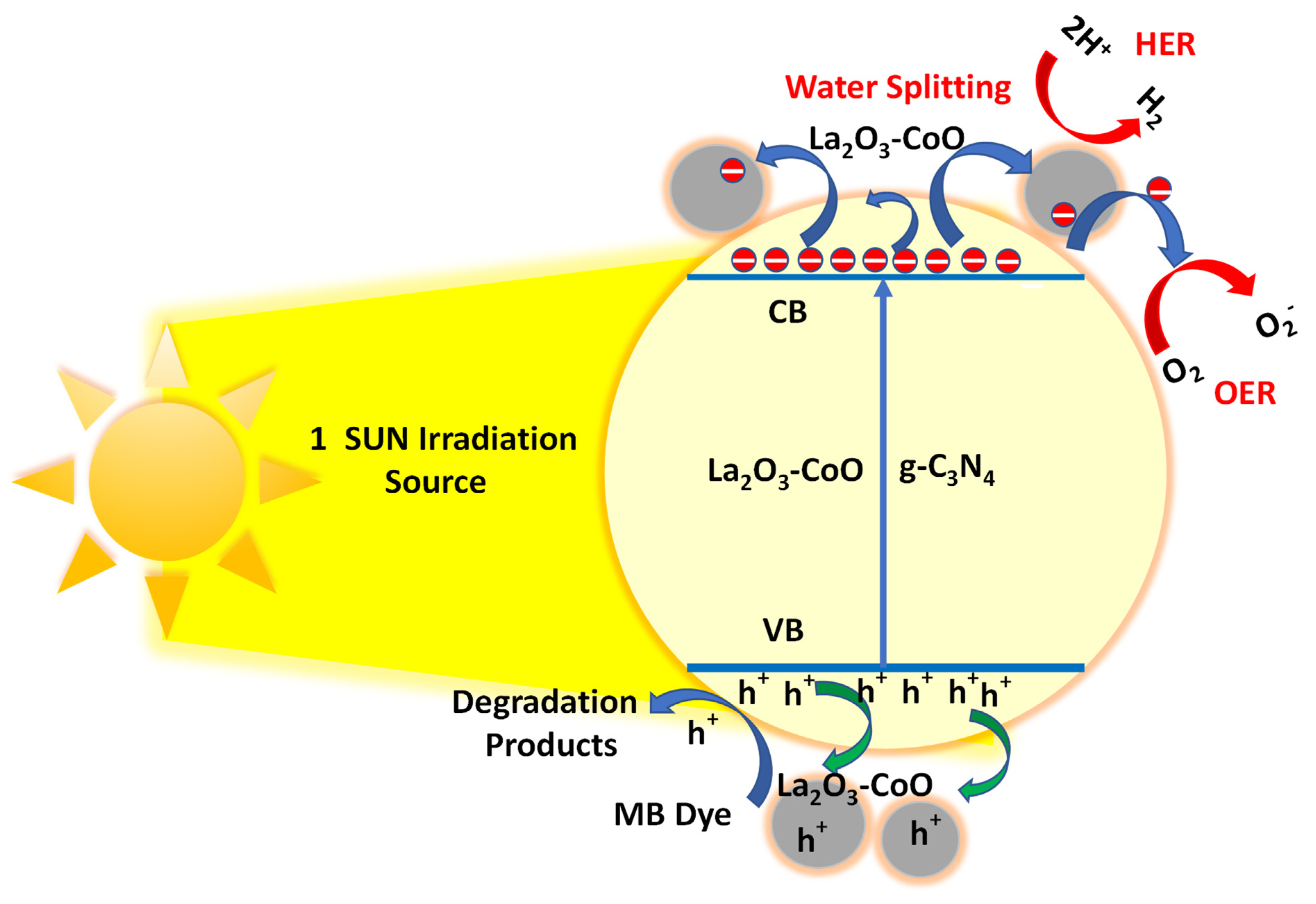 Catalysts 12 00015 g008