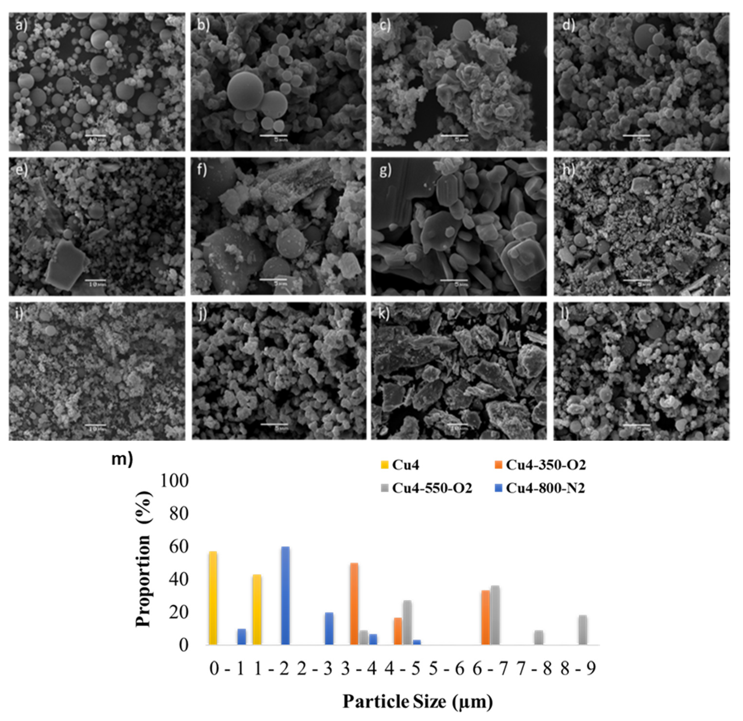 Catalysts 12 00046 g001