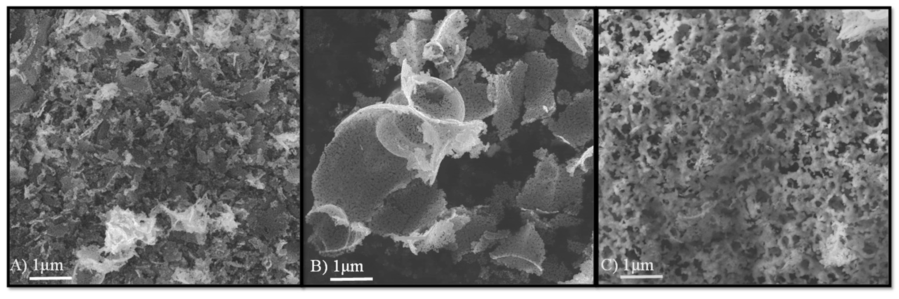 Catalysts 12 00057 g009