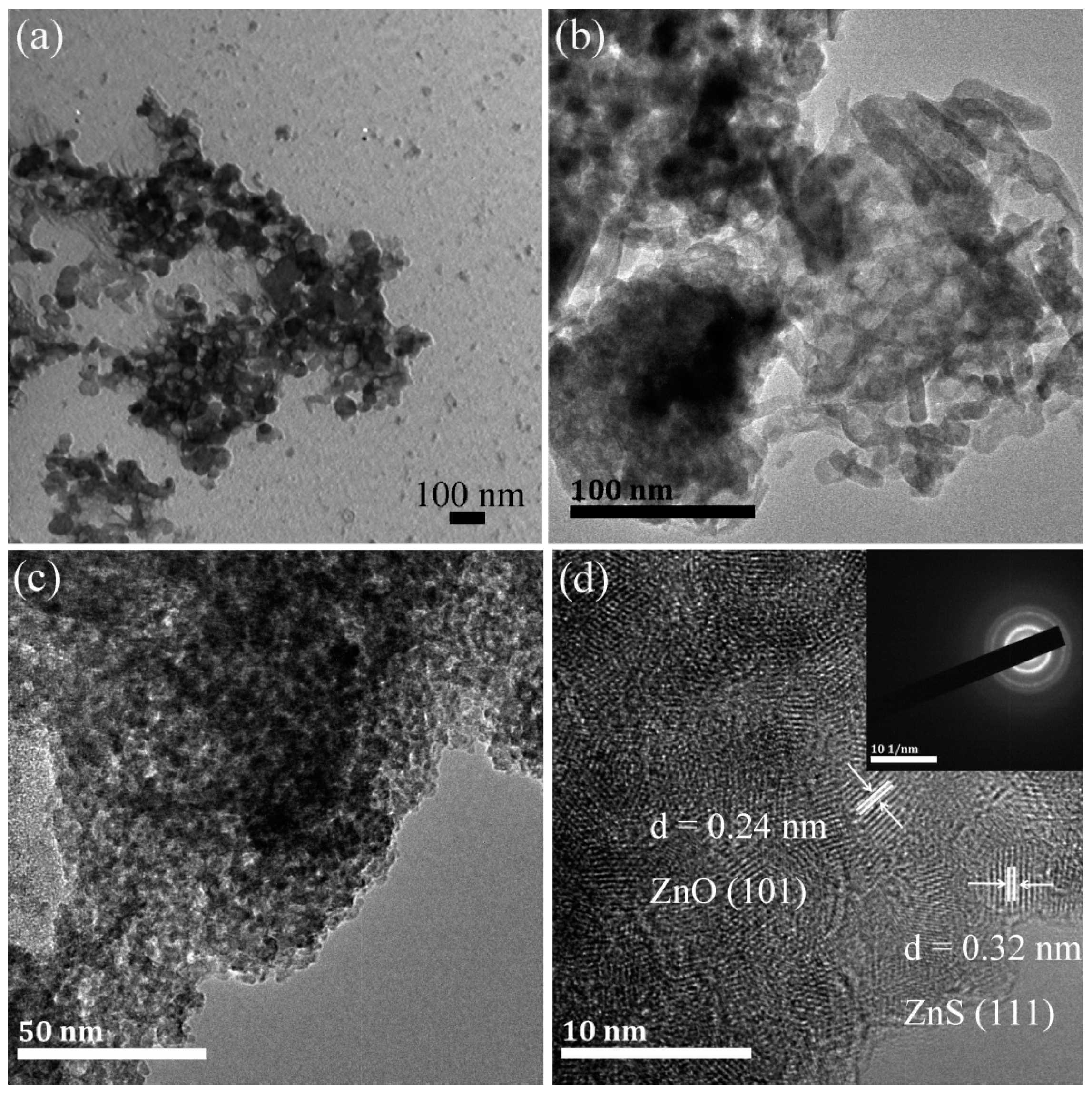 Catalysts 12 00981 g002