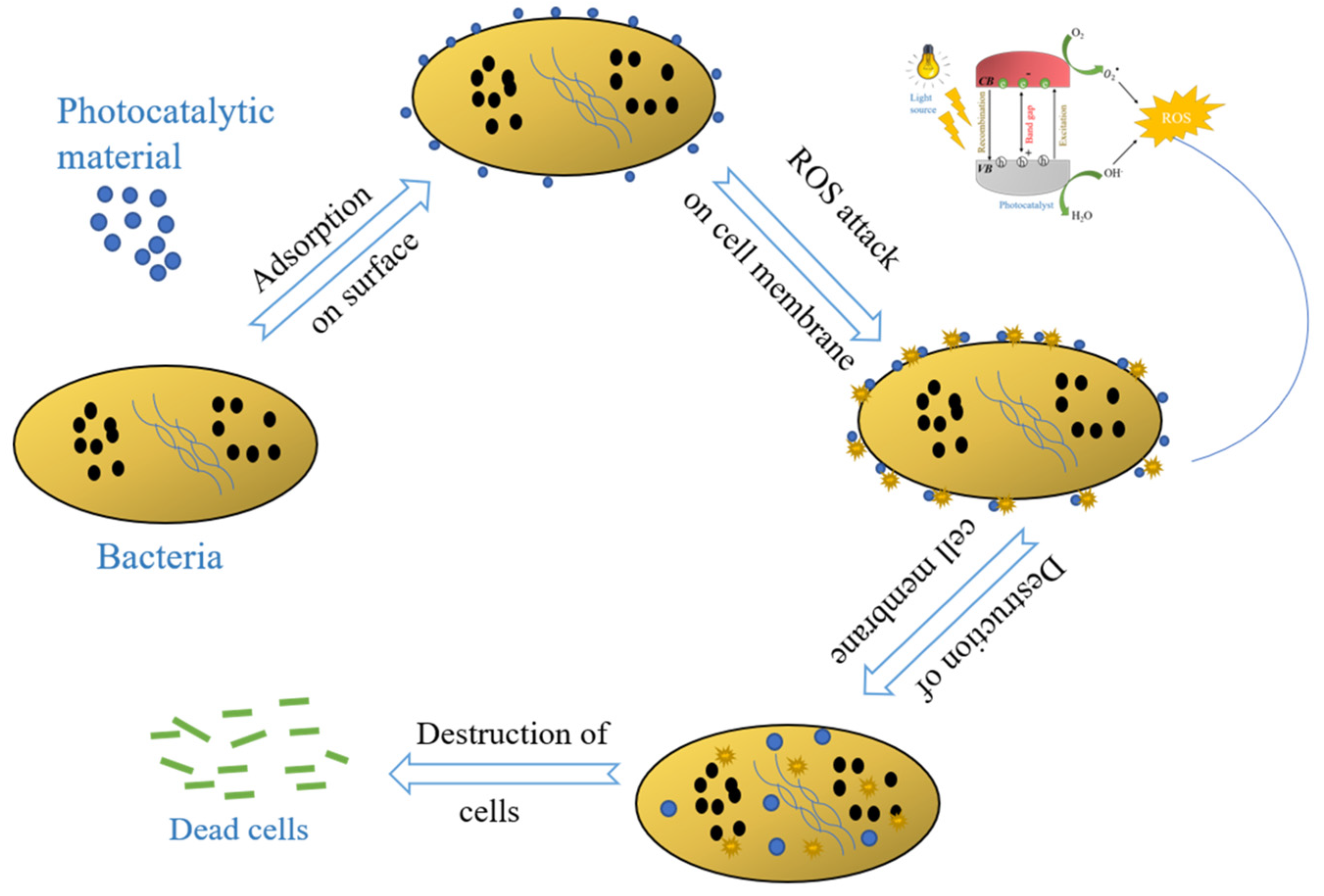 Catalysts 12 01398 g003
