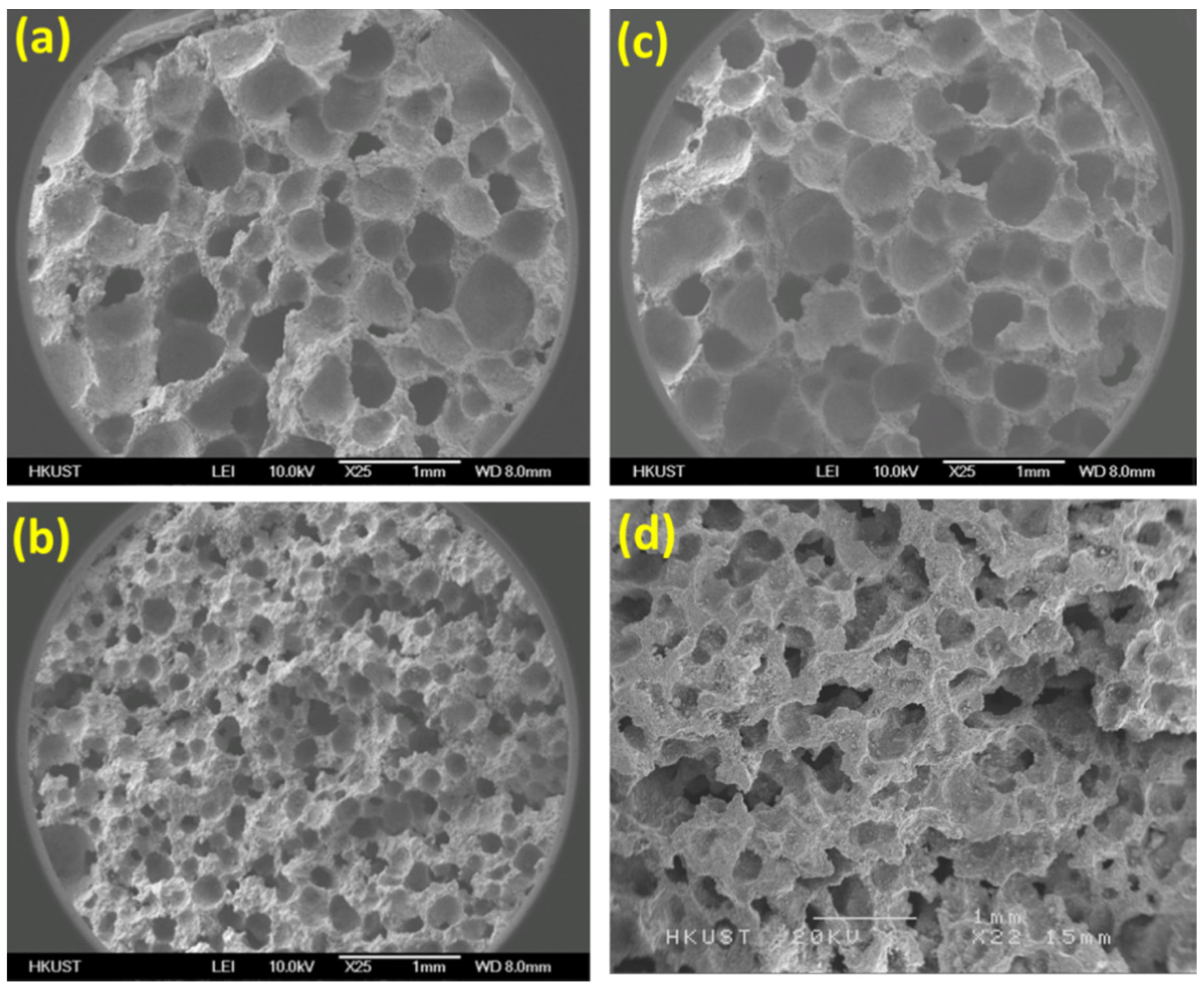 Catalysts 12 01398 g005a