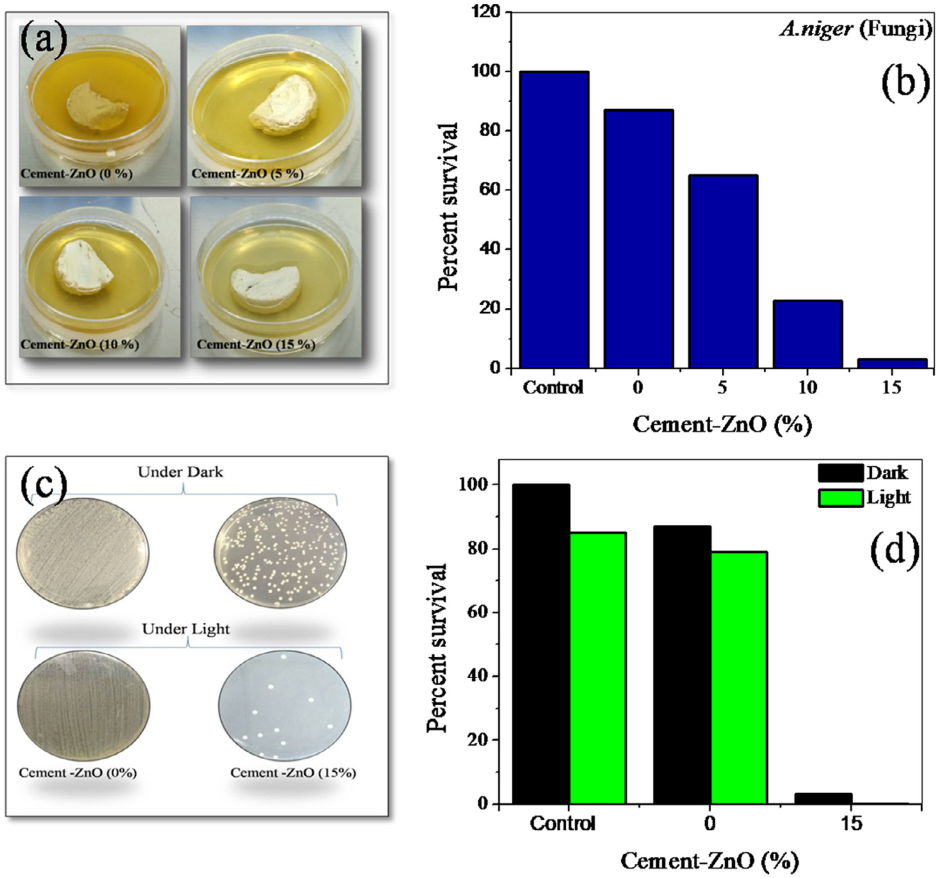Catalysts 12 01398 g007