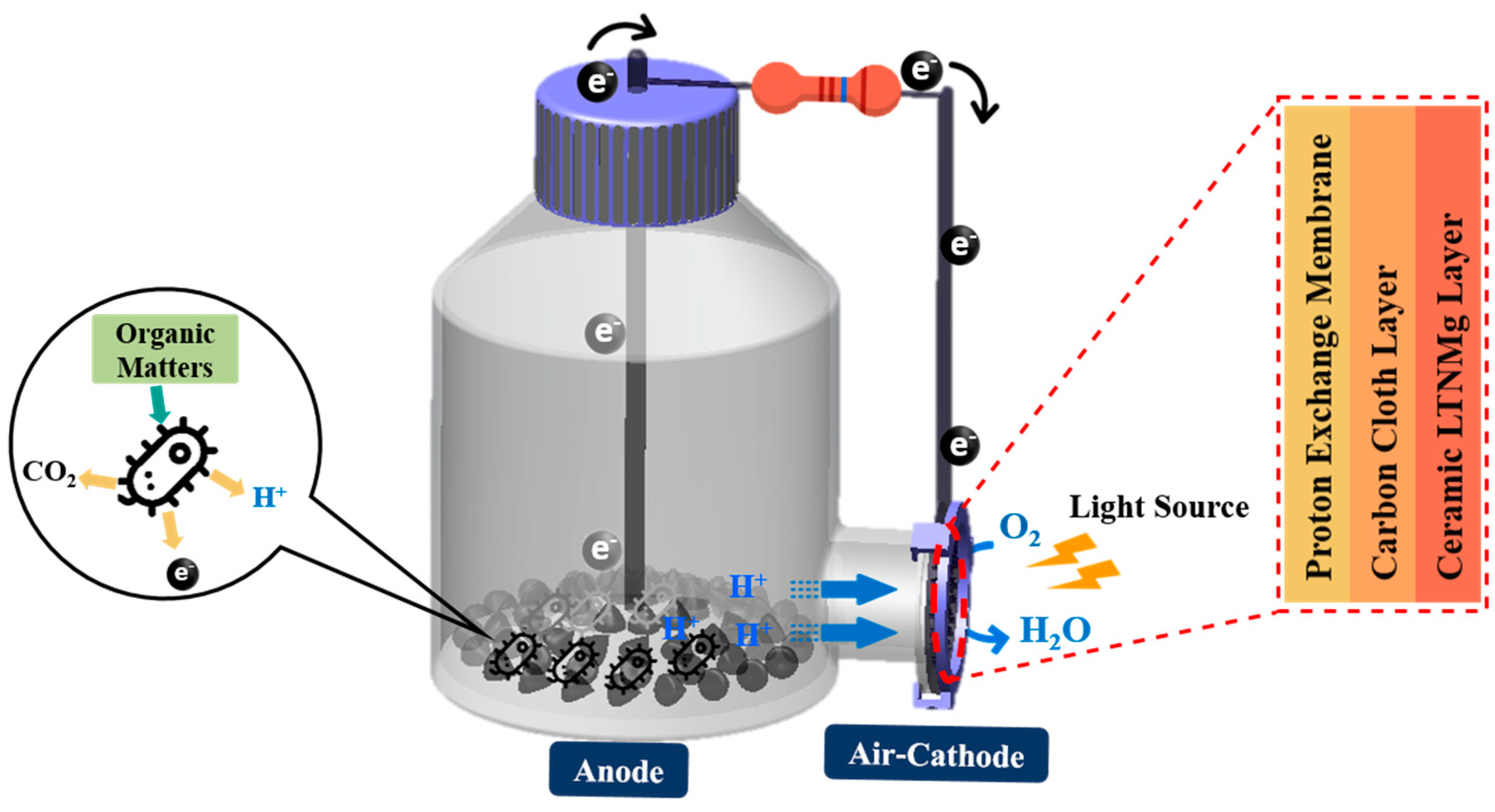 Catalysts 12 01424 g009