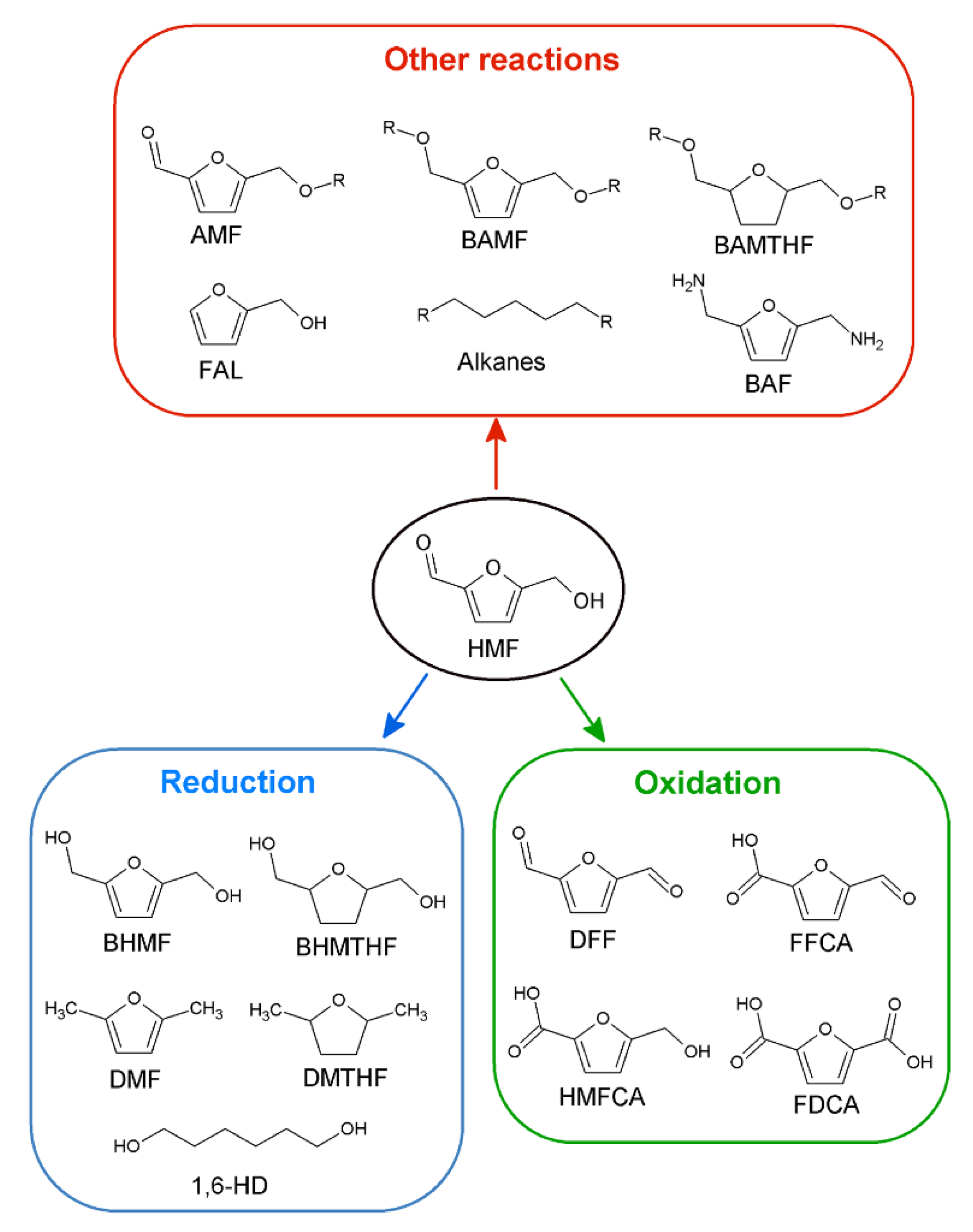 Catalysts 12 01664 g005