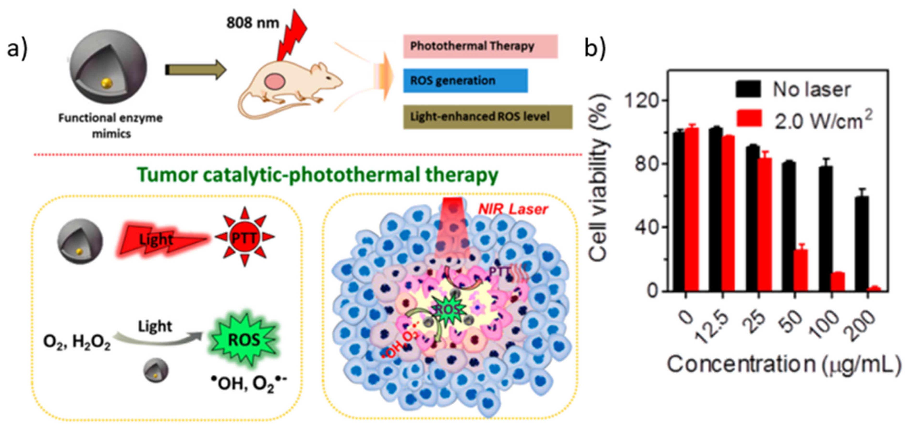 Catalysts 13 00013 g002