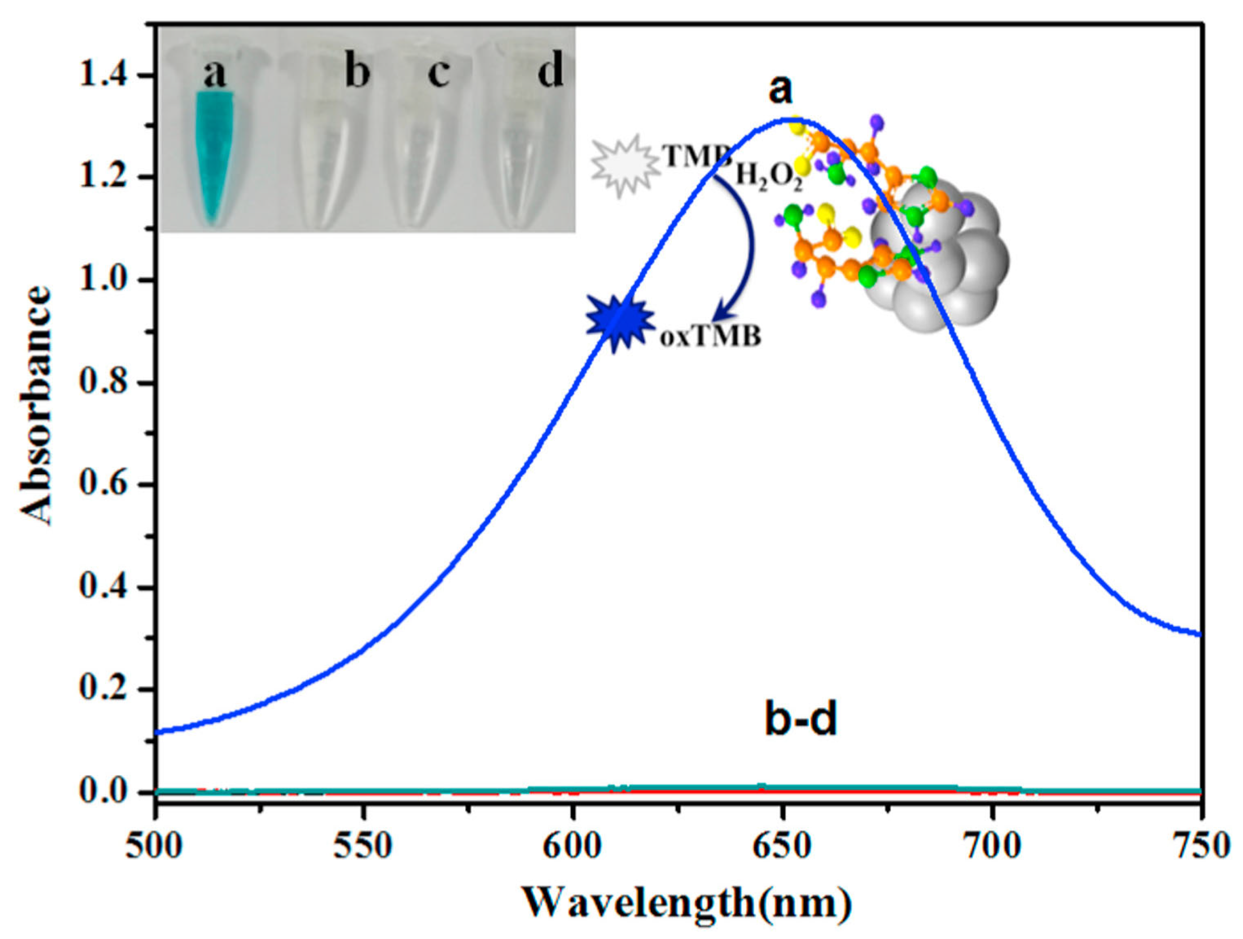 Catalysts 13 00013 g006