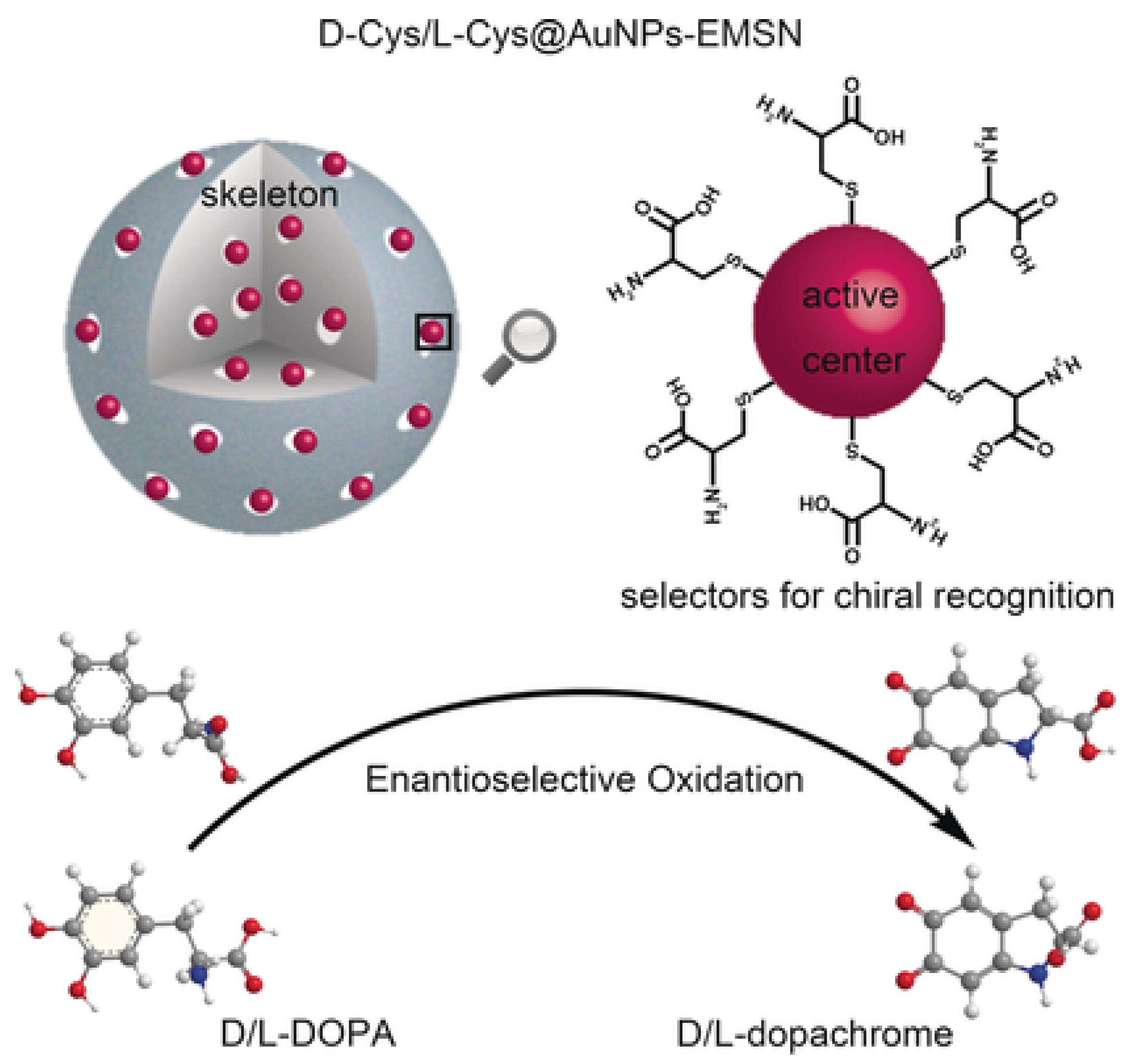 Catalysts 13 00013 g007
