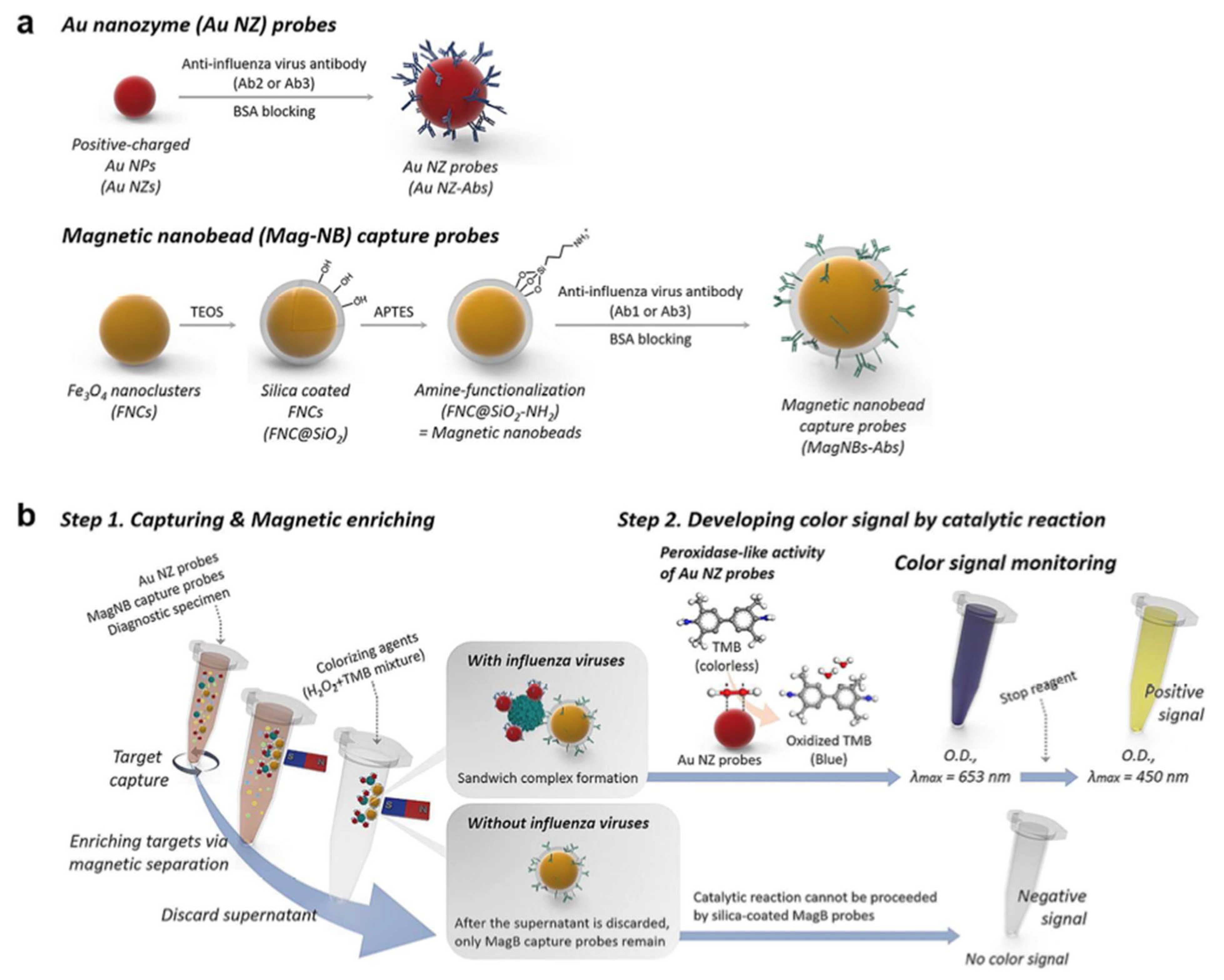 Catalysts 13 00013 g010