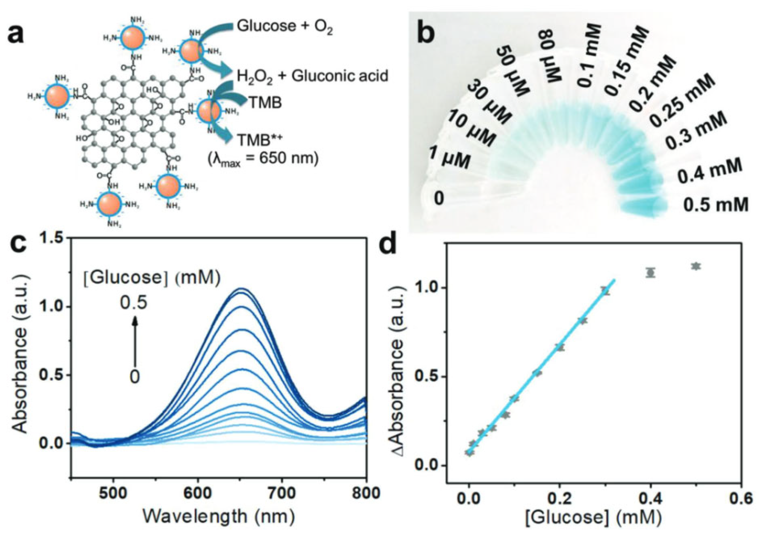 Catalysts 13 00013 g016