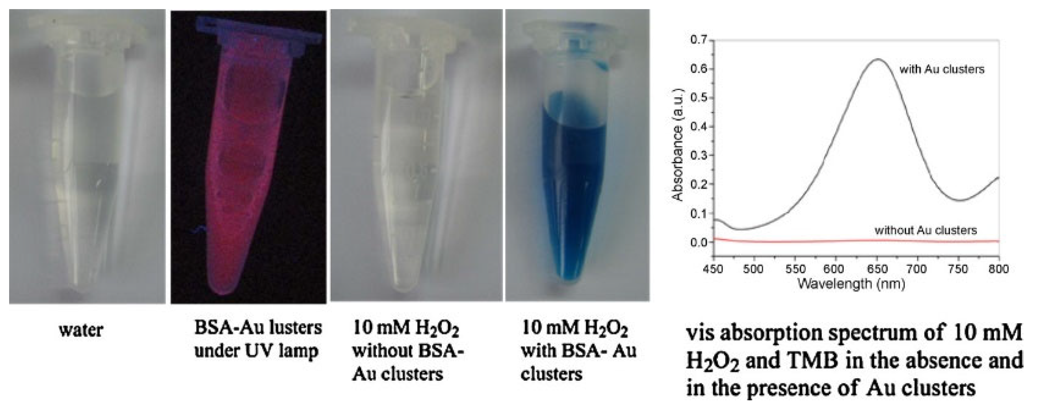 Catalysts 13 00013 g017