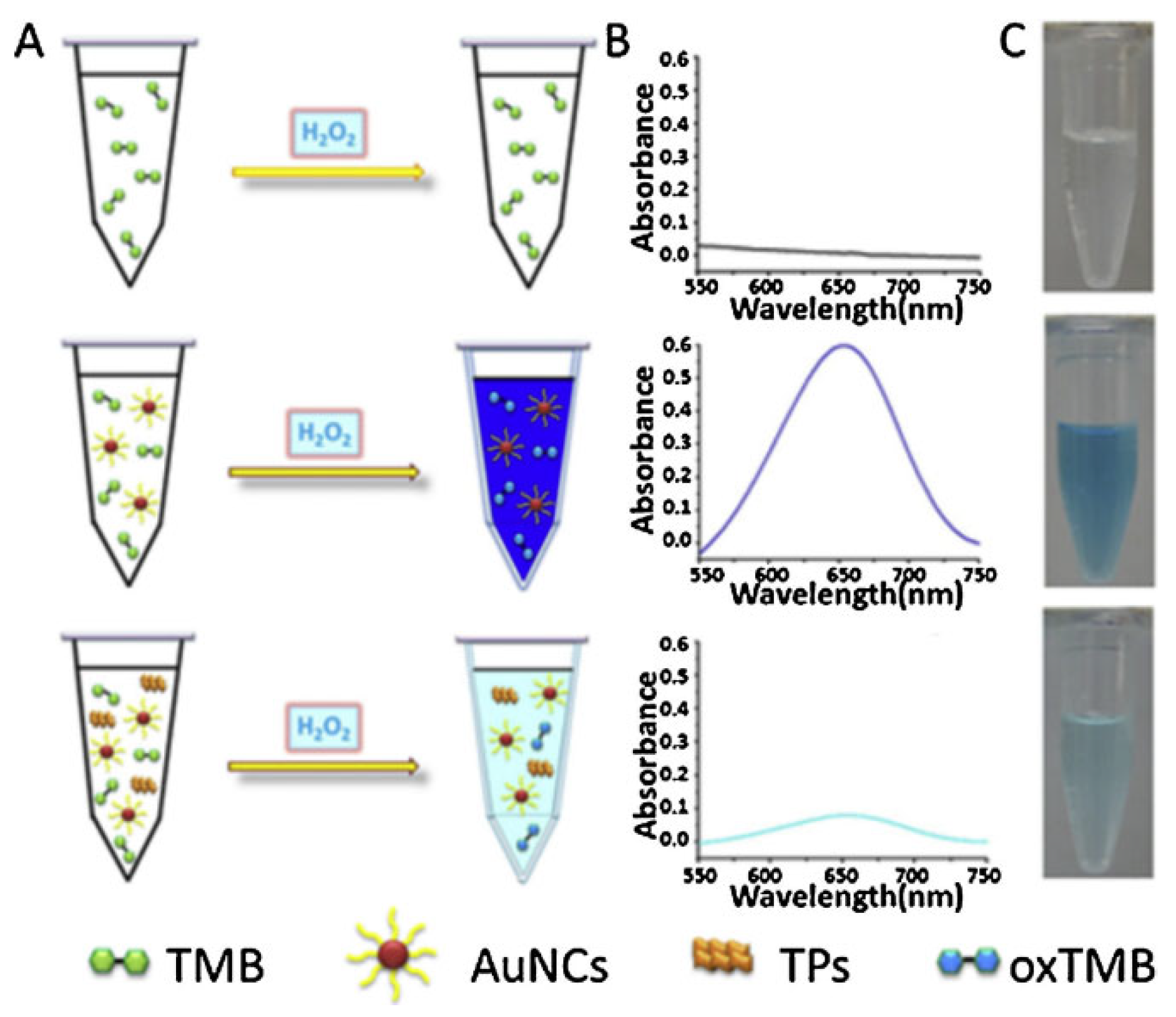 Catalysts 13 00013 g018