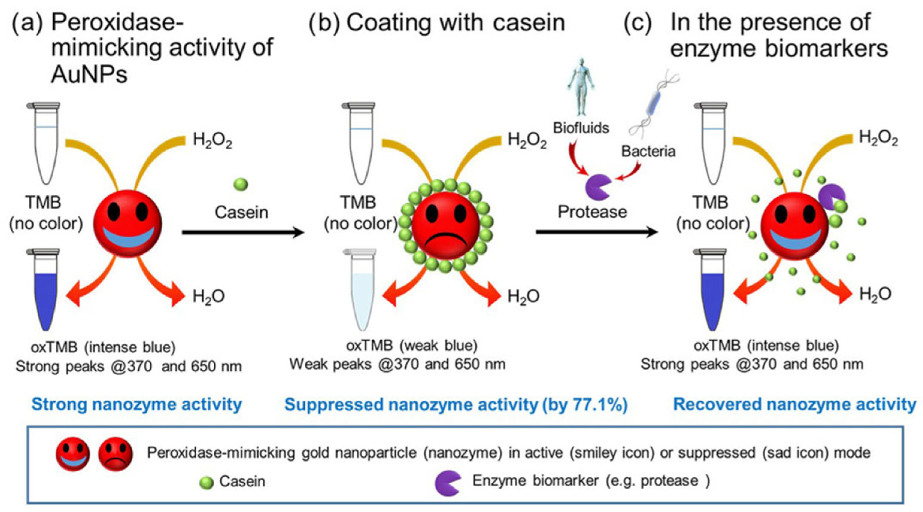 Catalysts 13 00013 g019