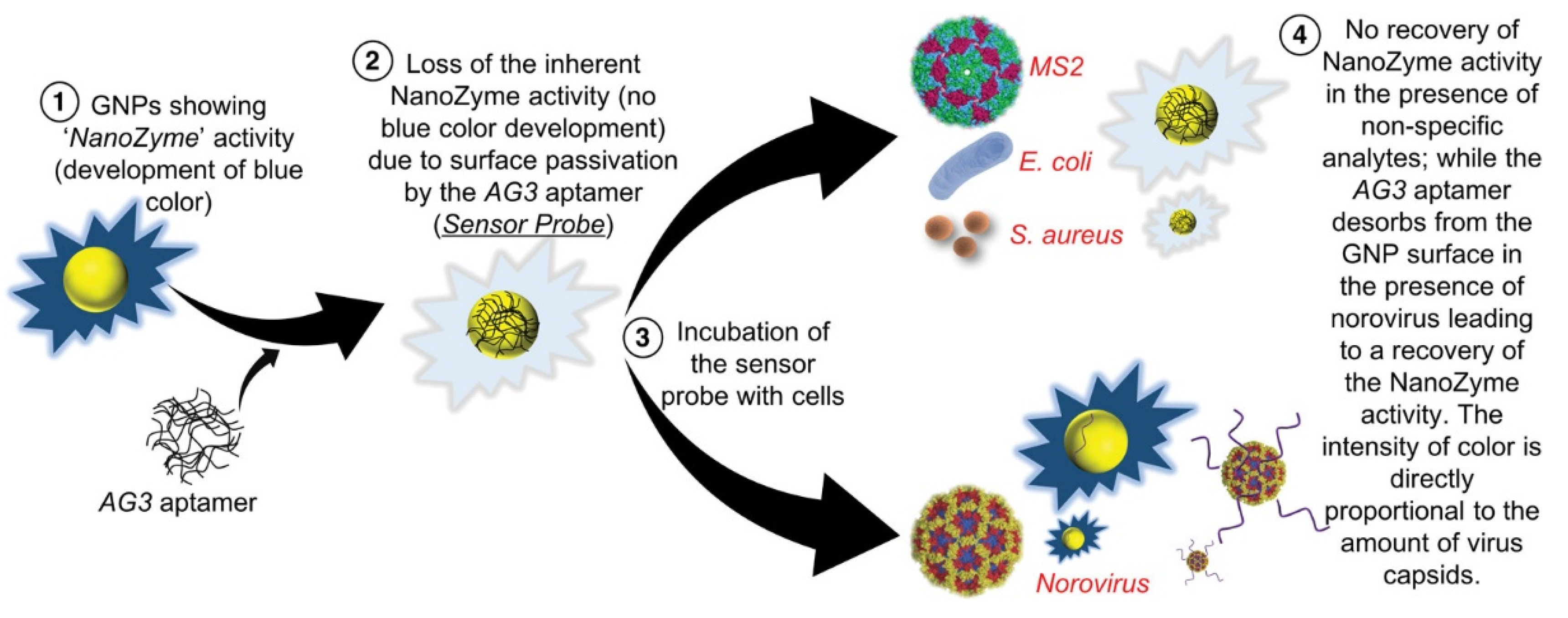 Catalysts 13 00013 g021