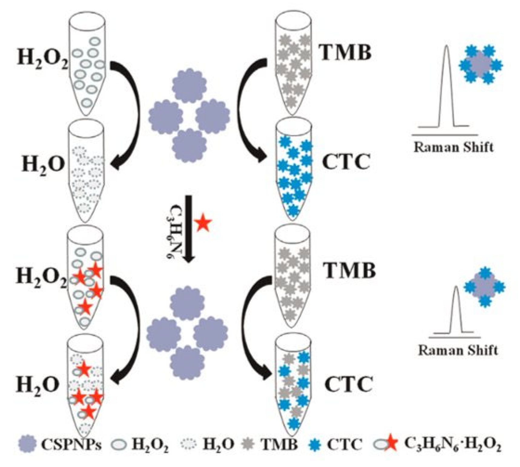 Catalysts 13 00013 g022