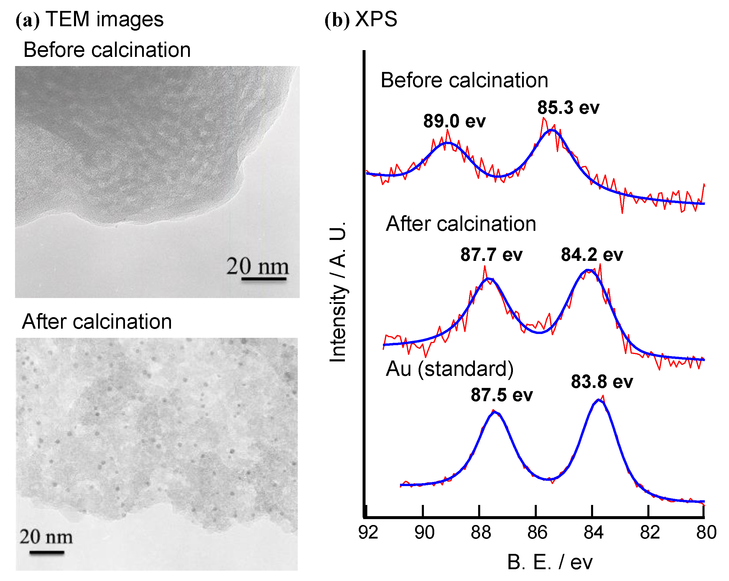 Catalysts 13 00035 g007