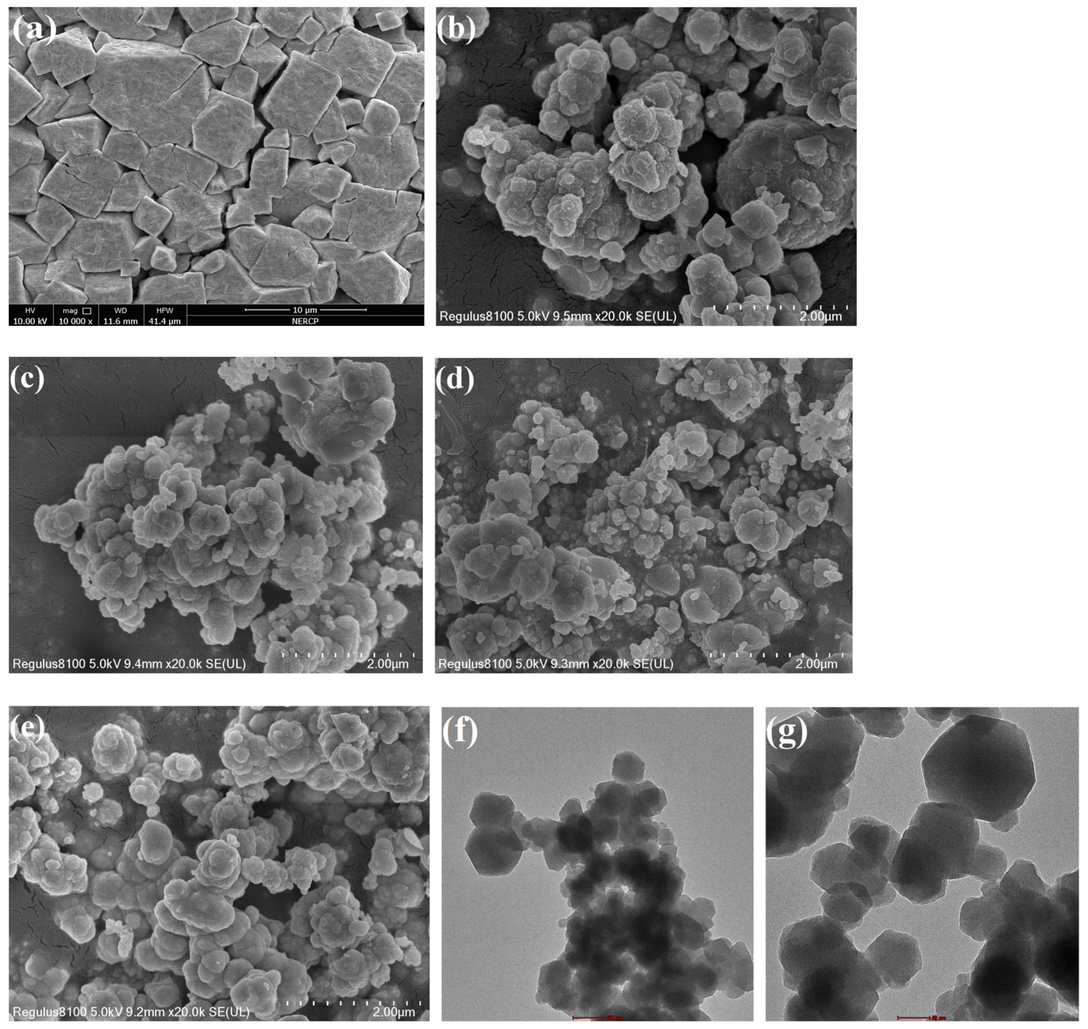Catalysts 13 00040 g002