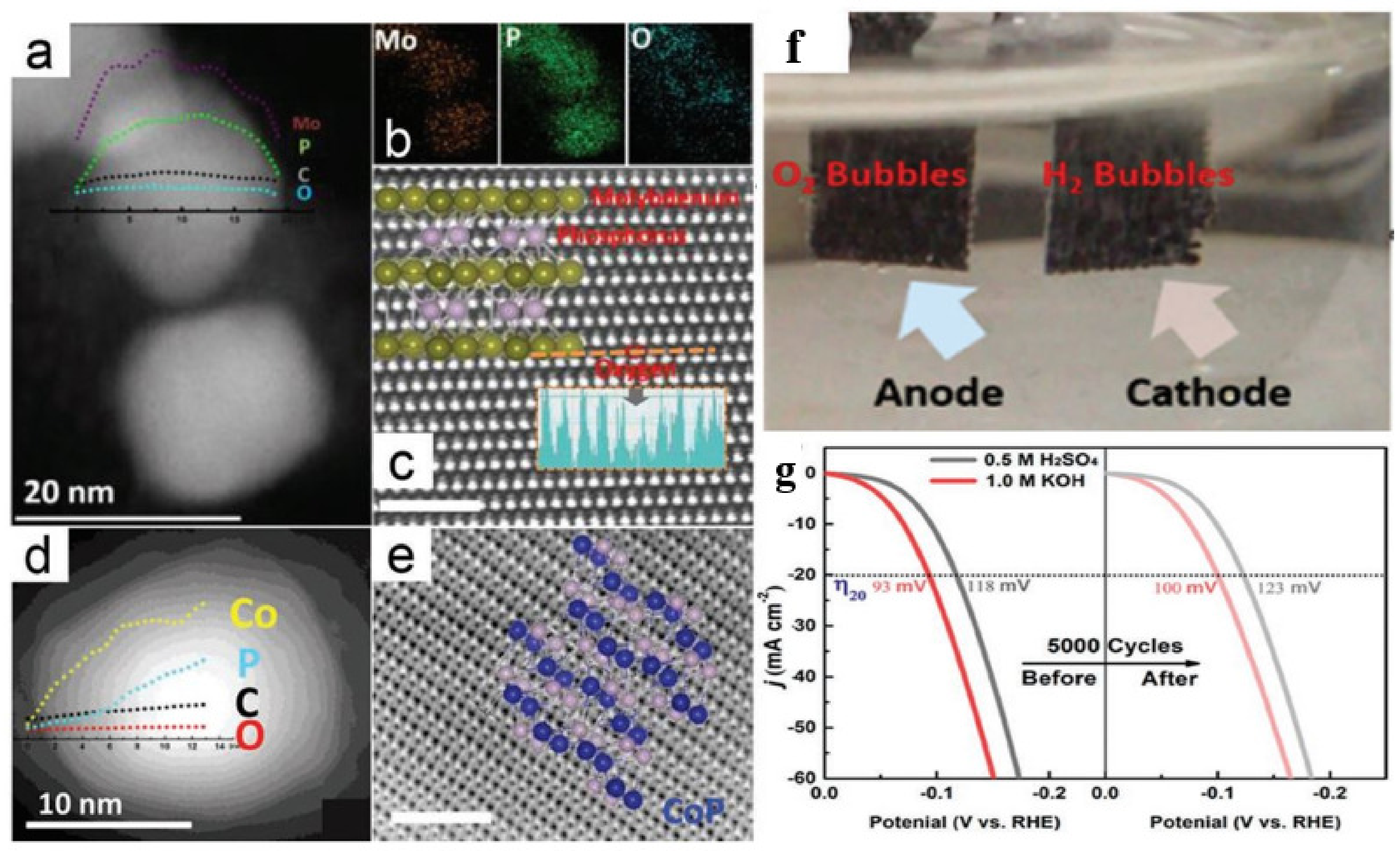 Catalysts Free Full Text Graphene Based Derivatives