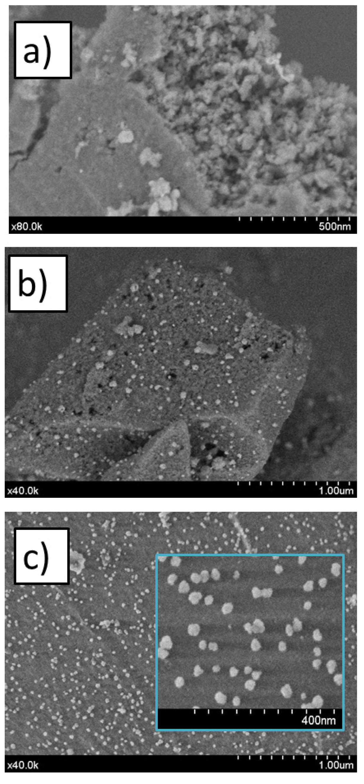 Catalysts 13 00142 g002