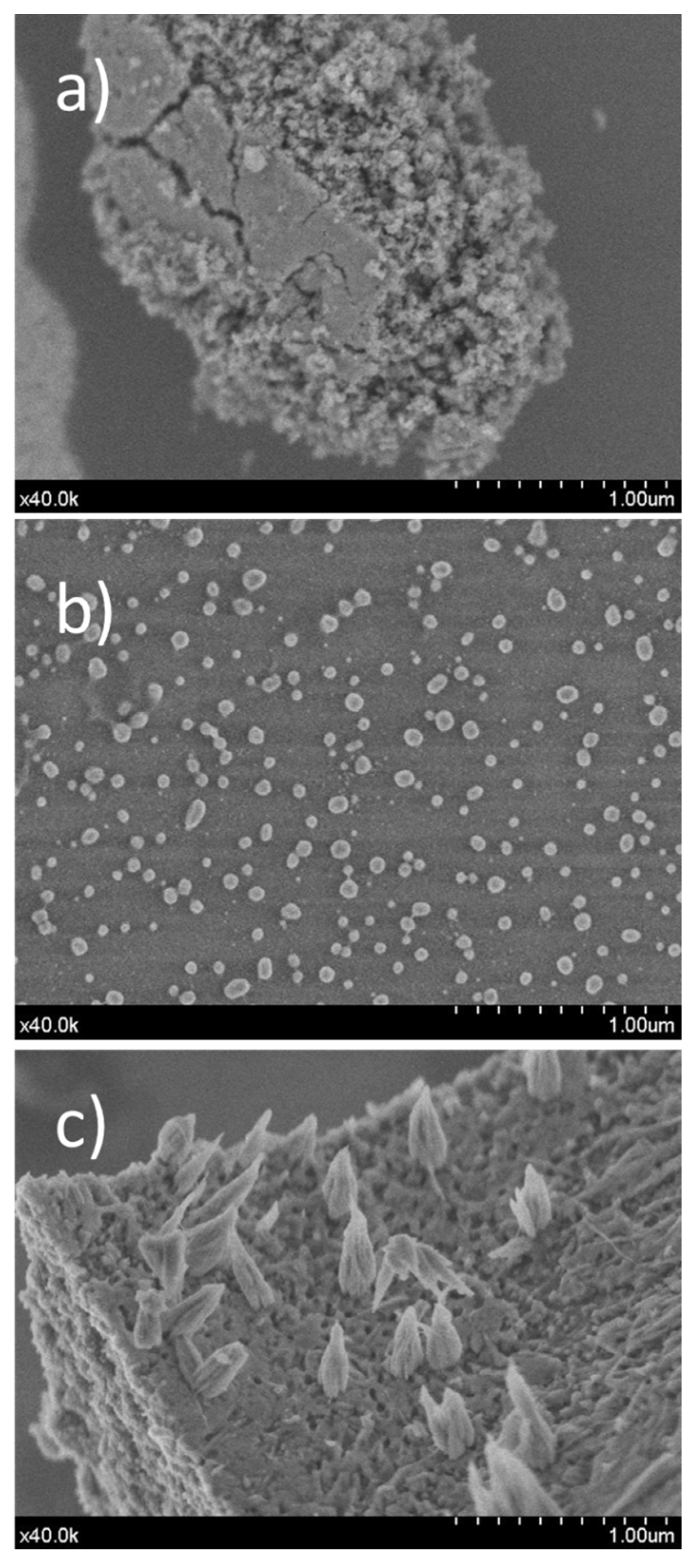 Catalysts 13 00142 g008