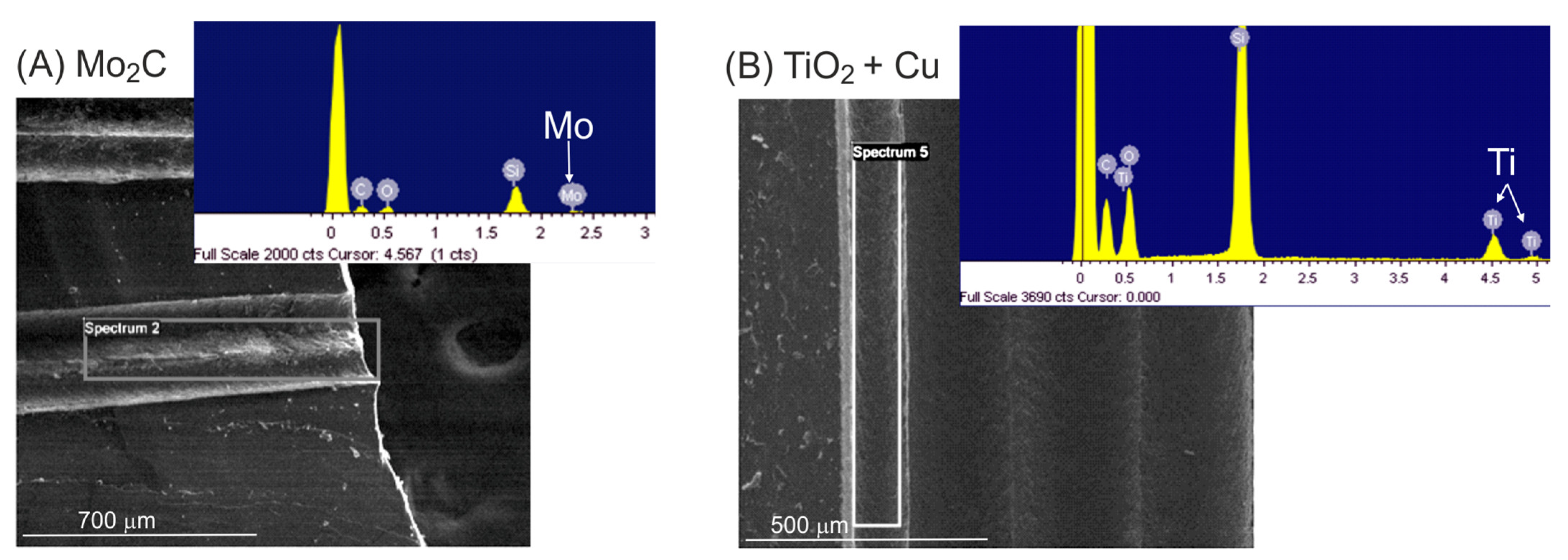 Catalysts 13 00157 g002
