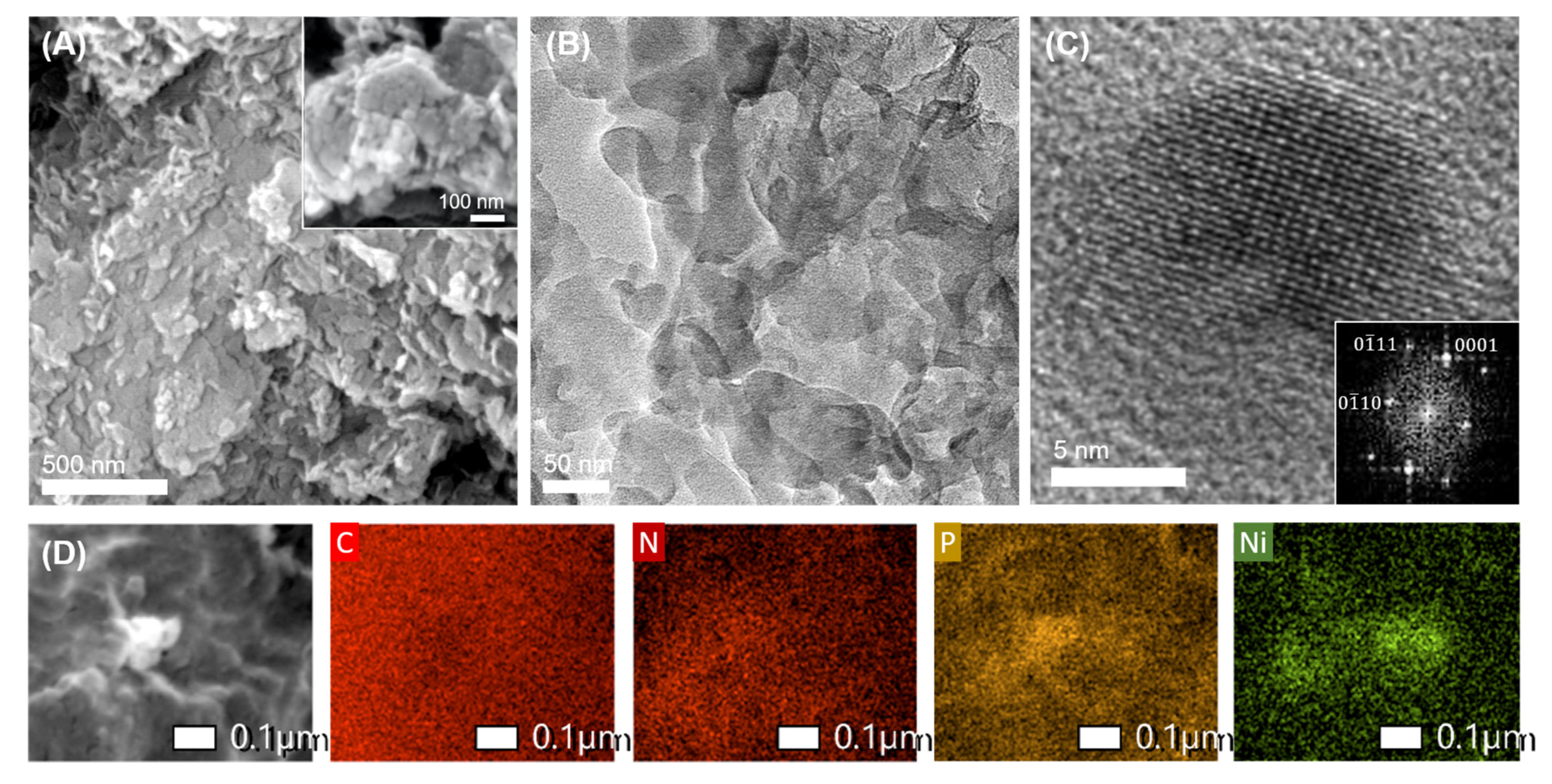 Catalysts 13 00437 g002