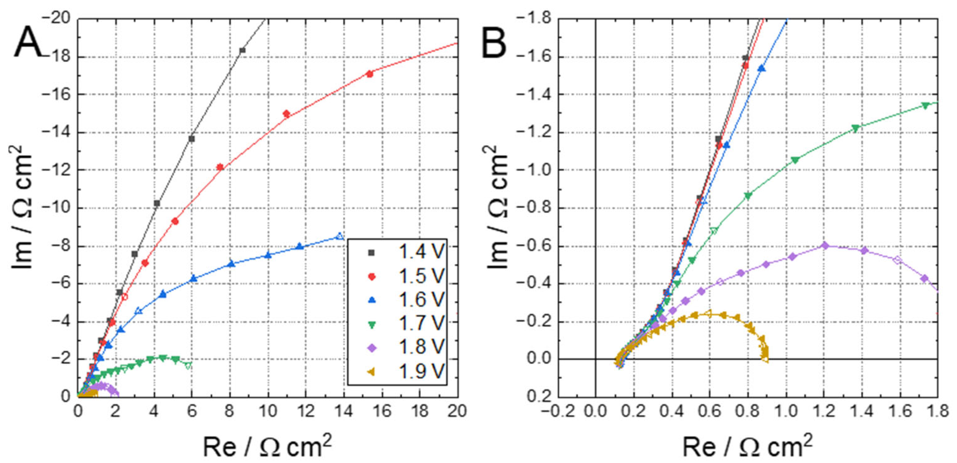 Catalysts 13 00554 g002