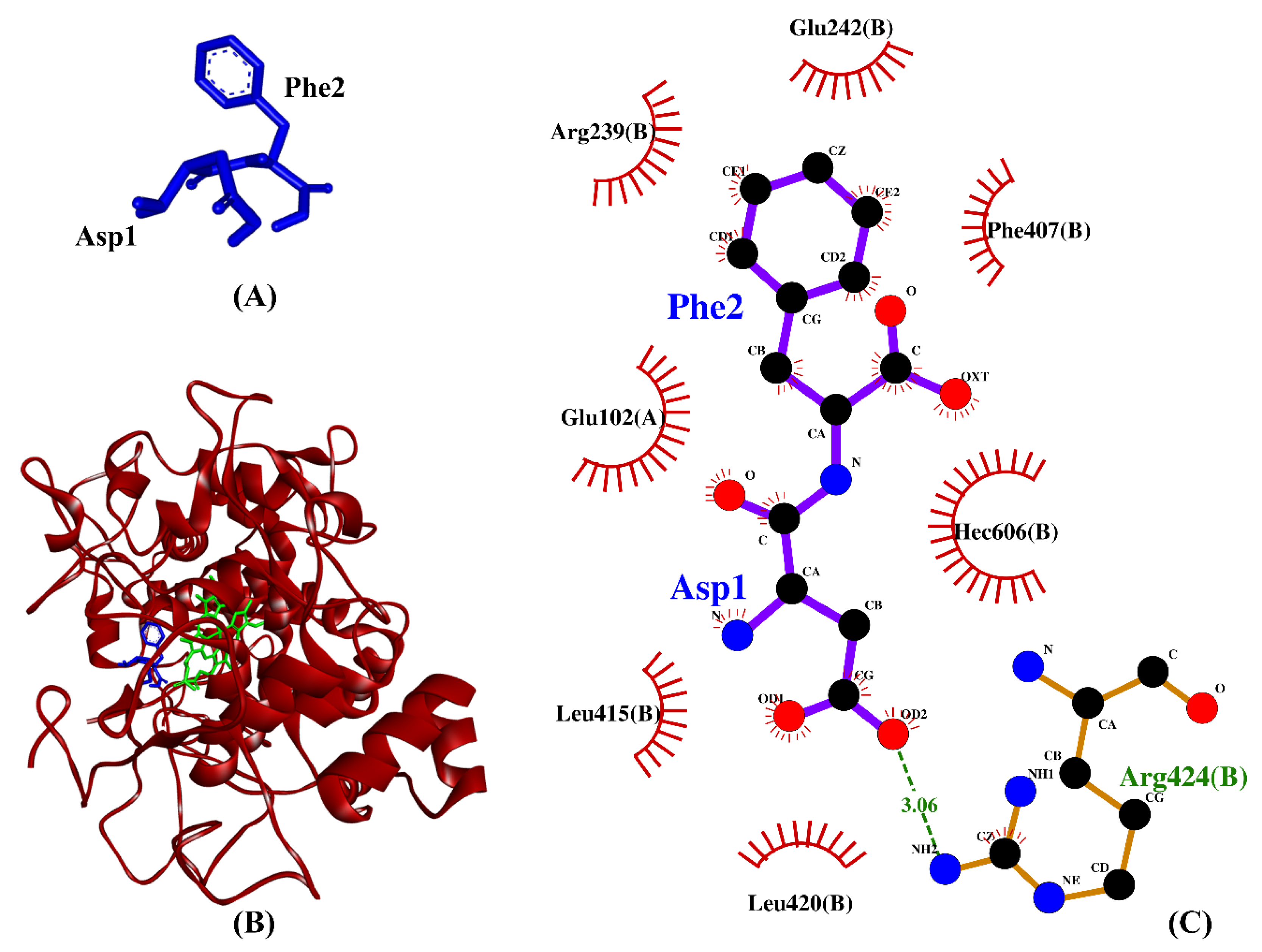 Catalysts 13 00605 g006