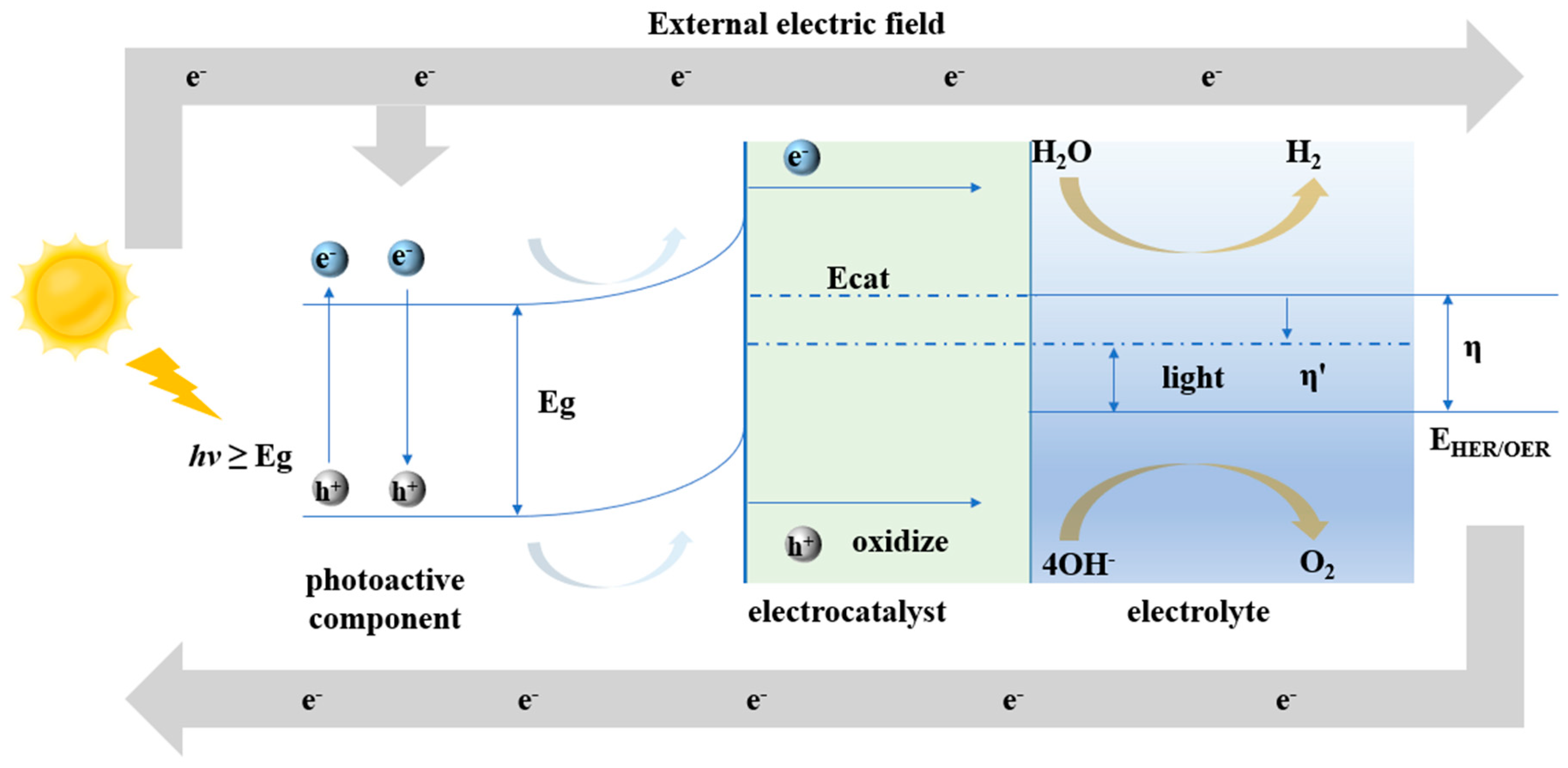 Catalysts 13 00712 g001
