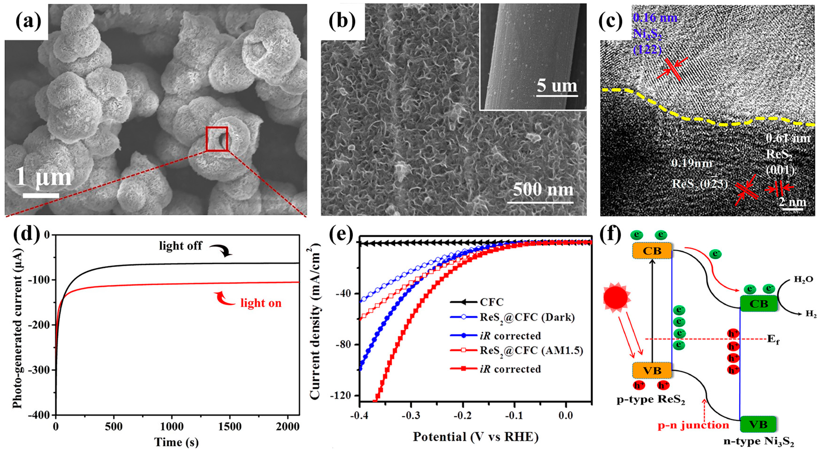 Catalysts 13 00712 g002