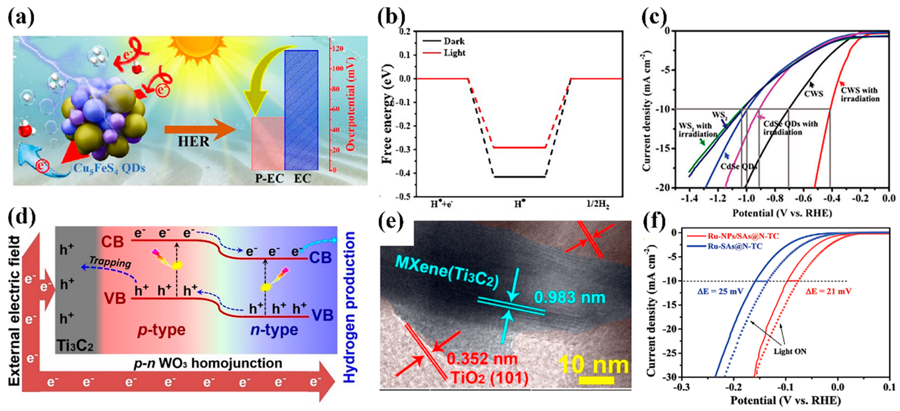 Catalysts 13 00712 g003