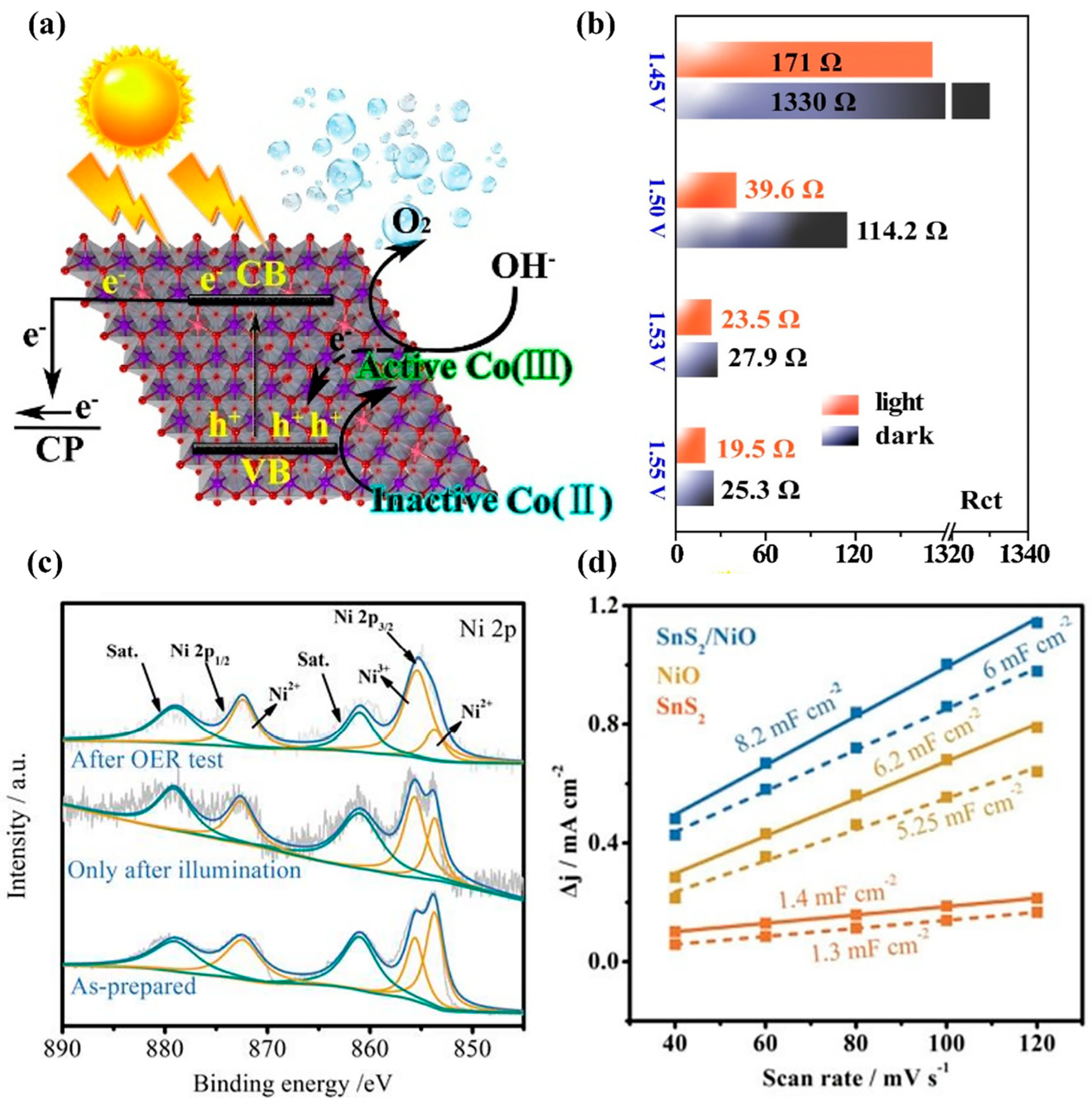Catalysts 13 00712 g006
