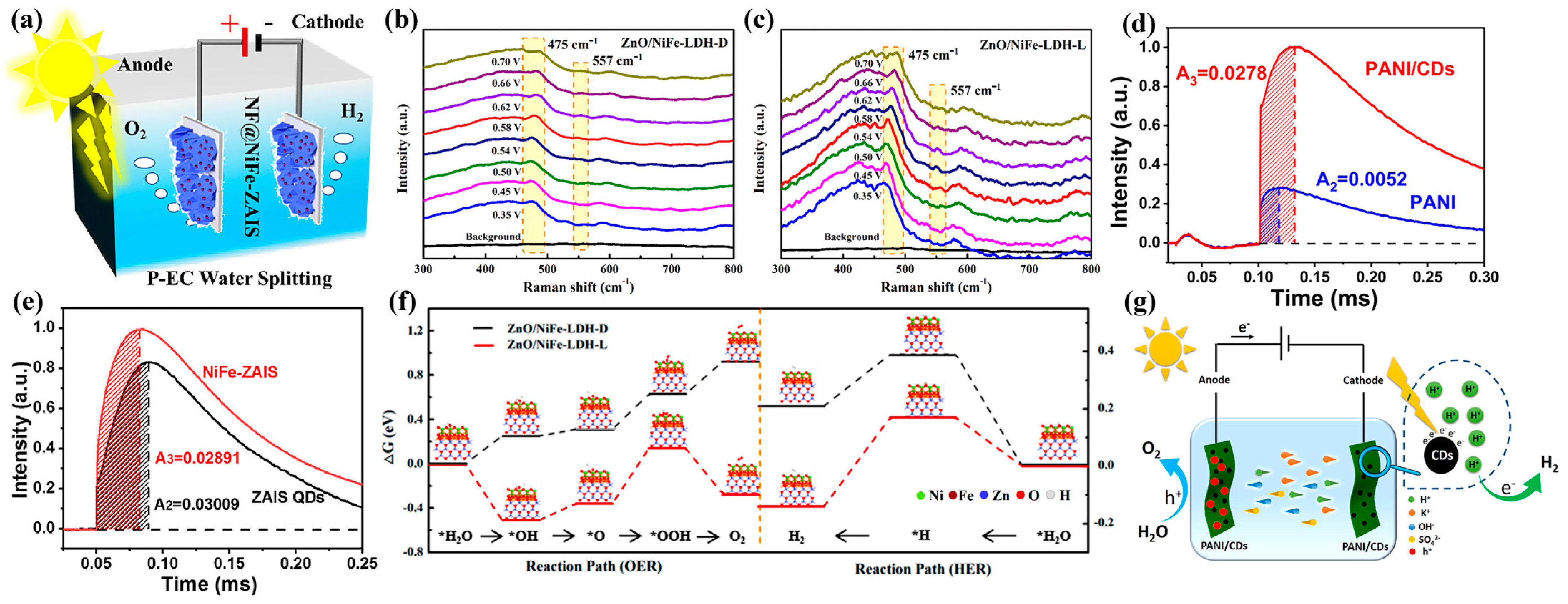Catalysts 13 00712 g008