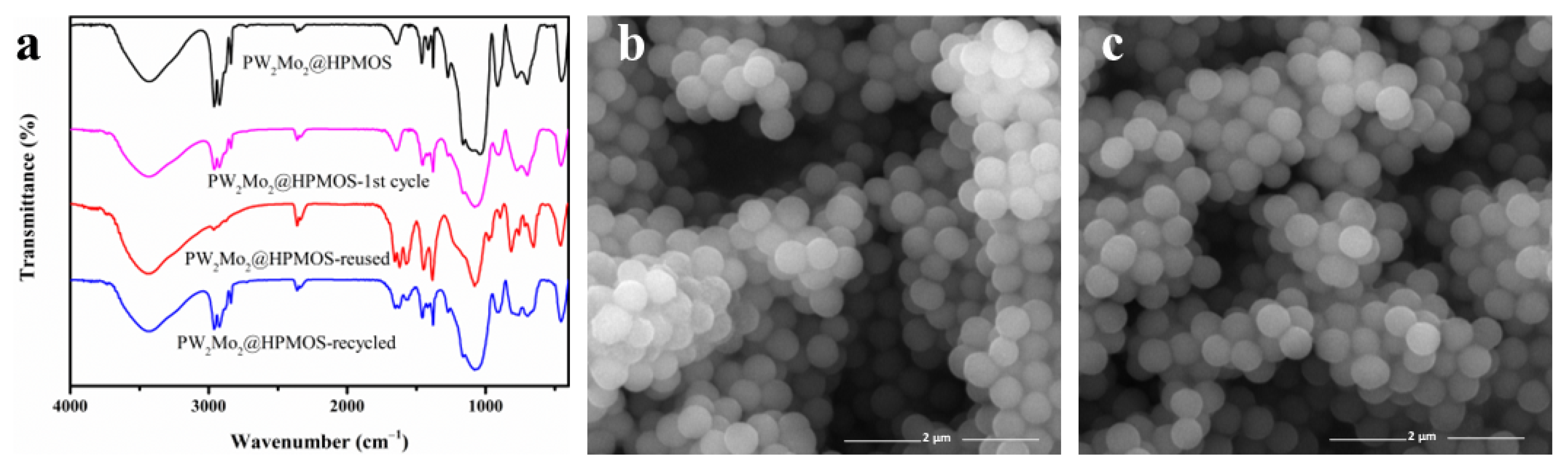 Catalysts 13 00747 g009