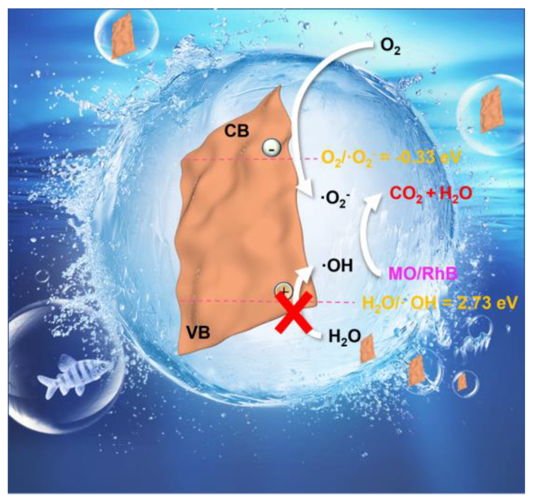Catalysts 13 00751 g009