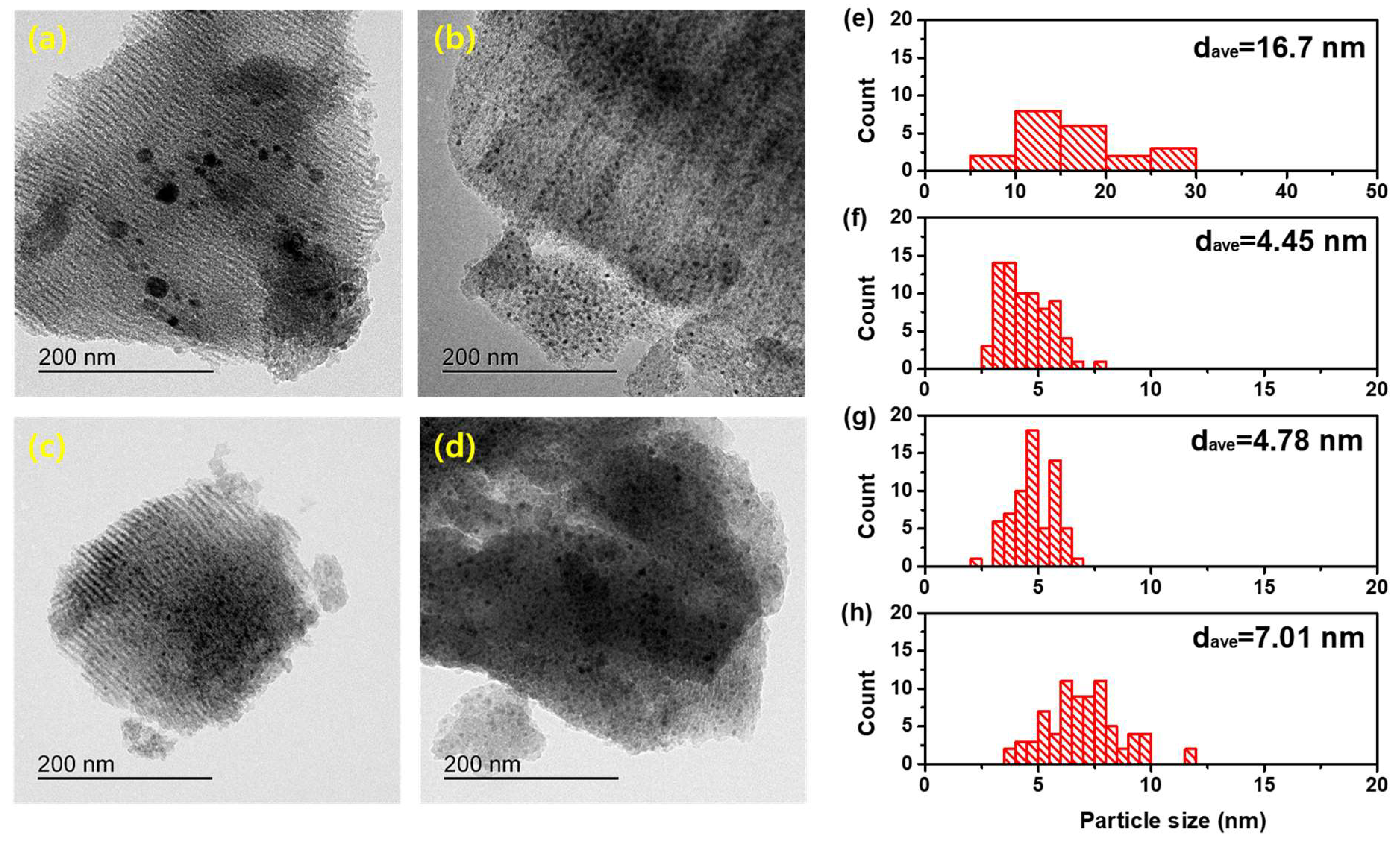 Catalysts 13 00916 g002
