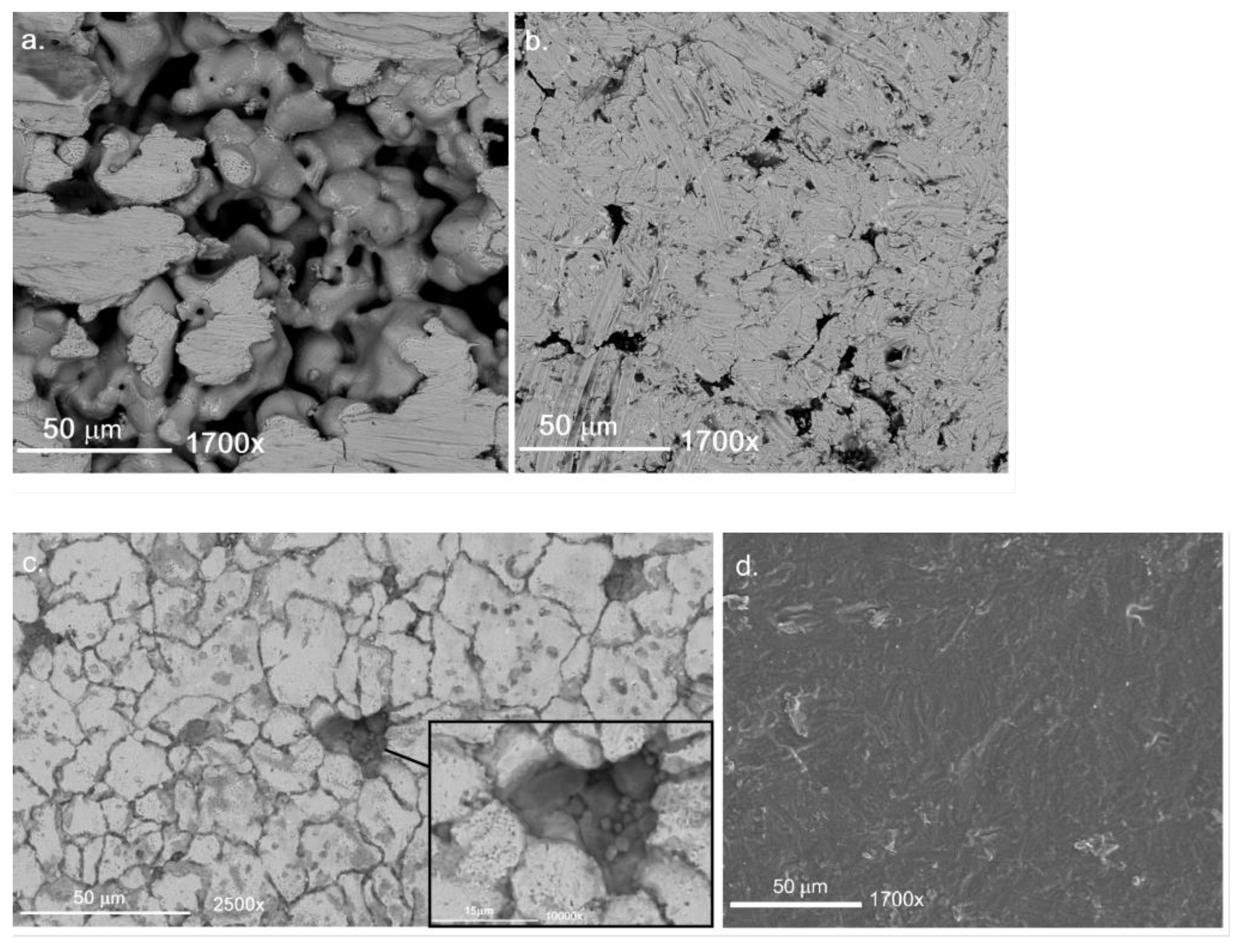 Catalysts 13 00920 g001