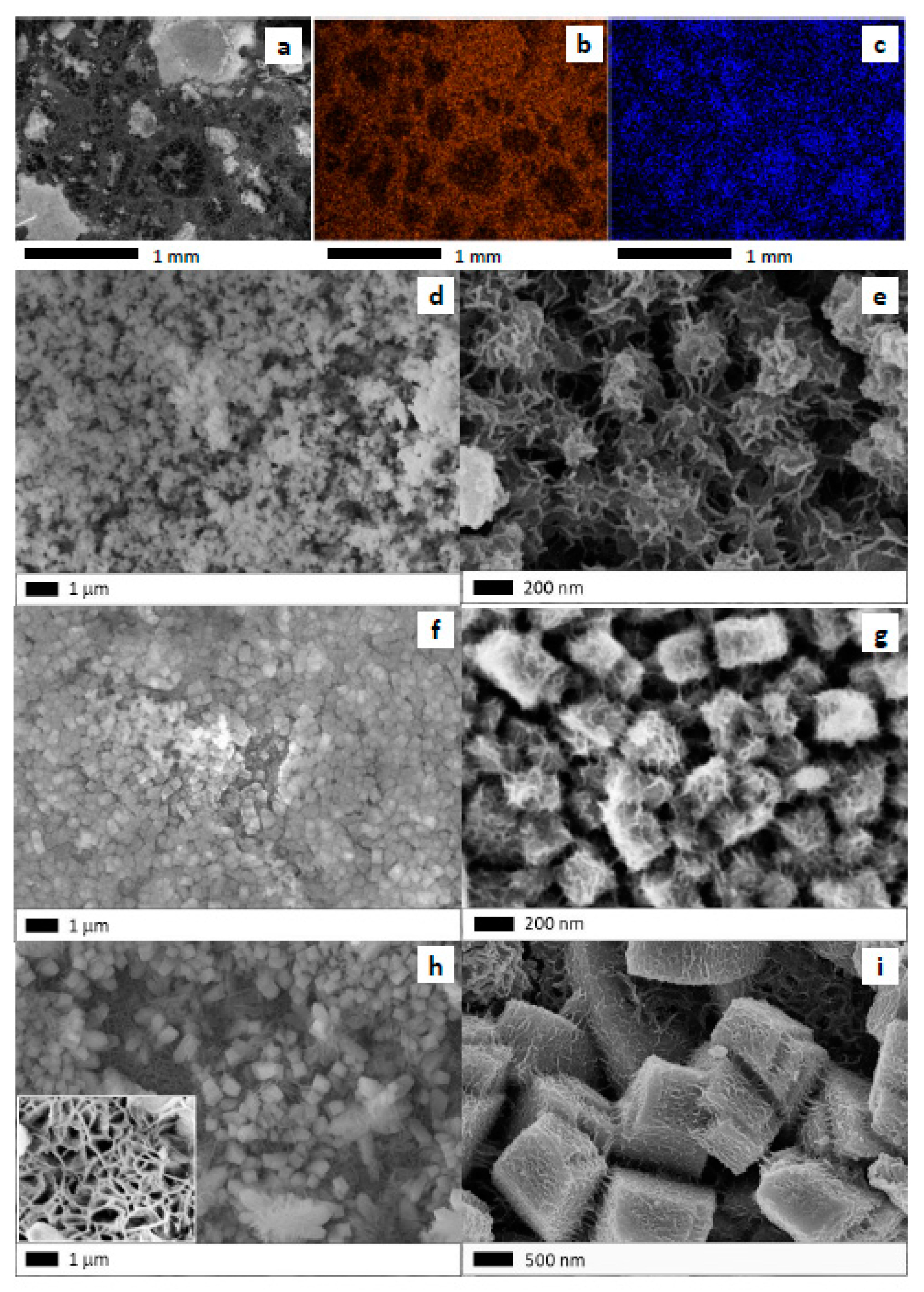 Catalysts 13 00932 g005