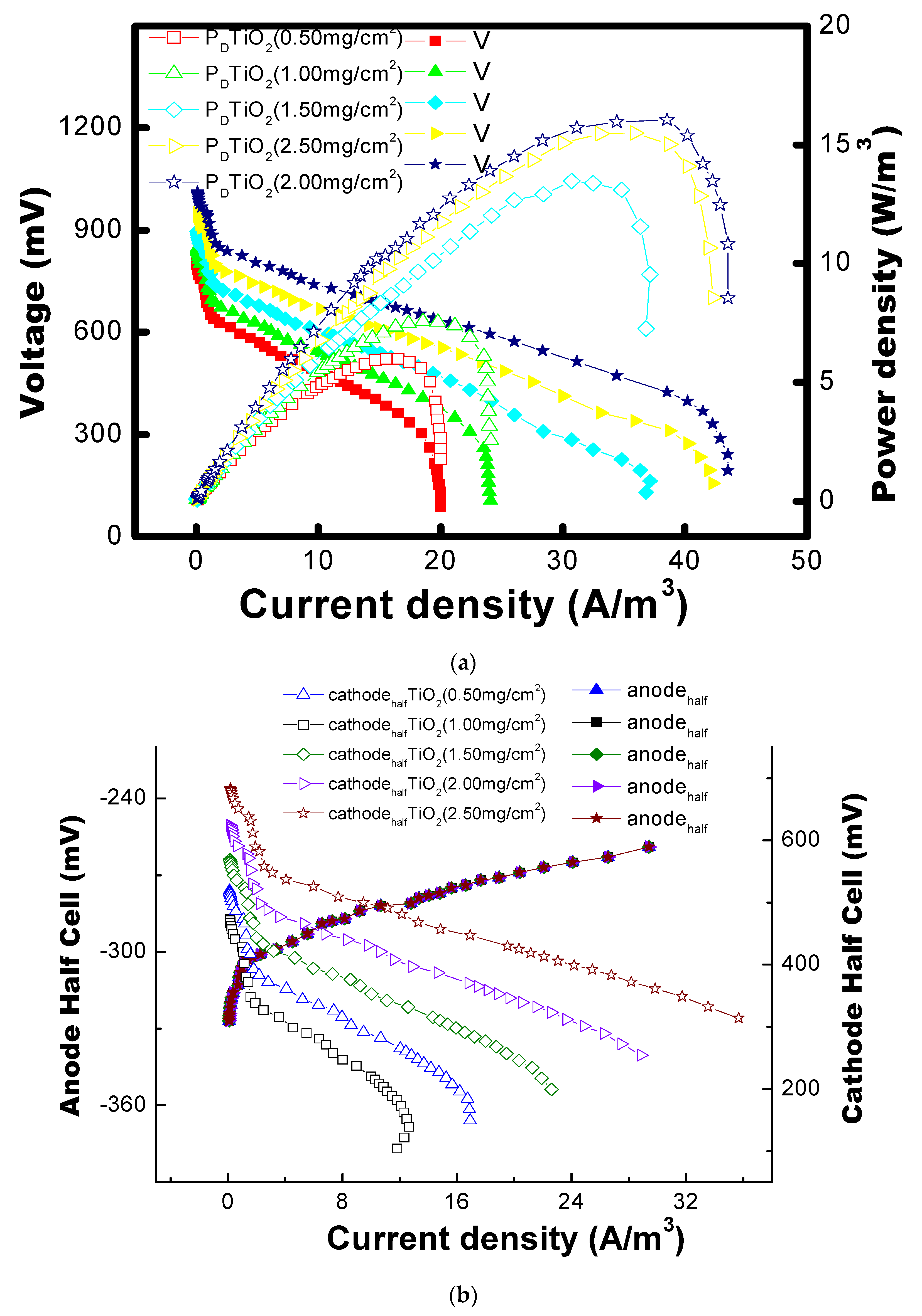Catalysts 13 00937 g004