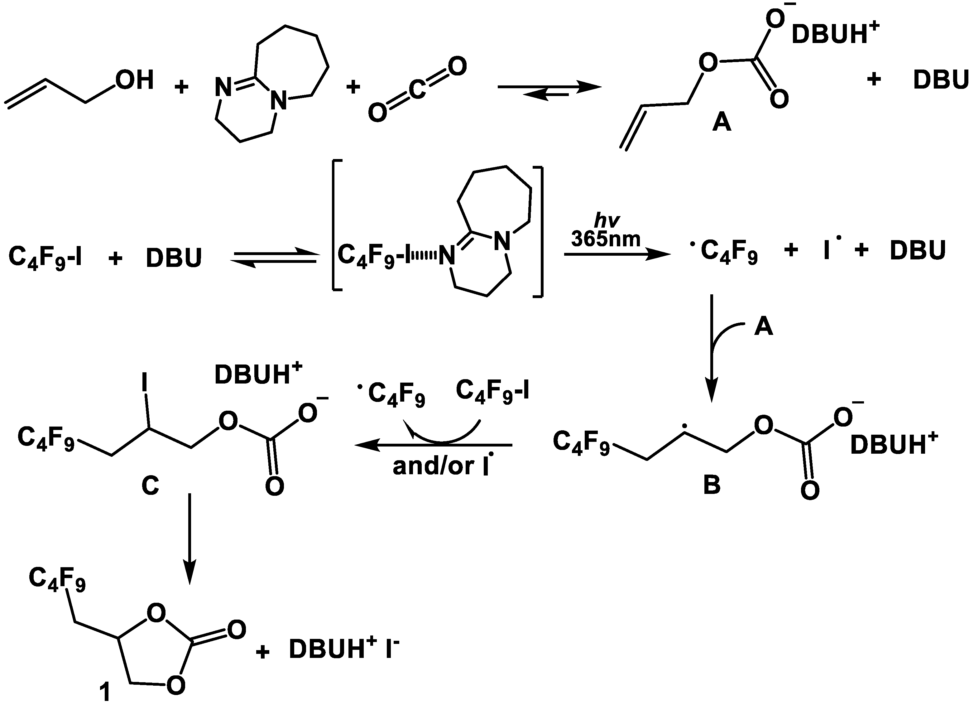Catalysts 13 00939 sch003
