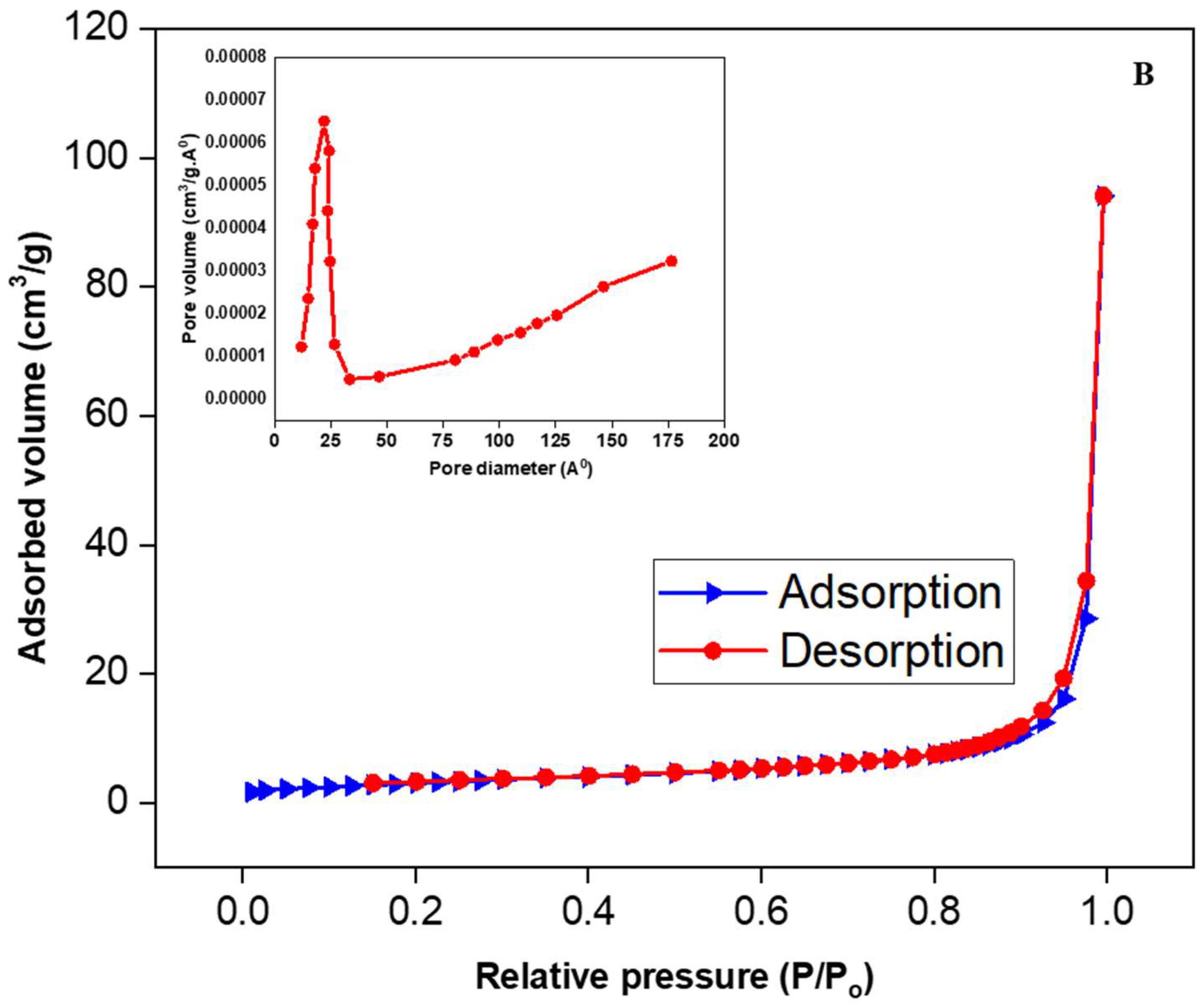 Catalysts 13 00985 g006b
