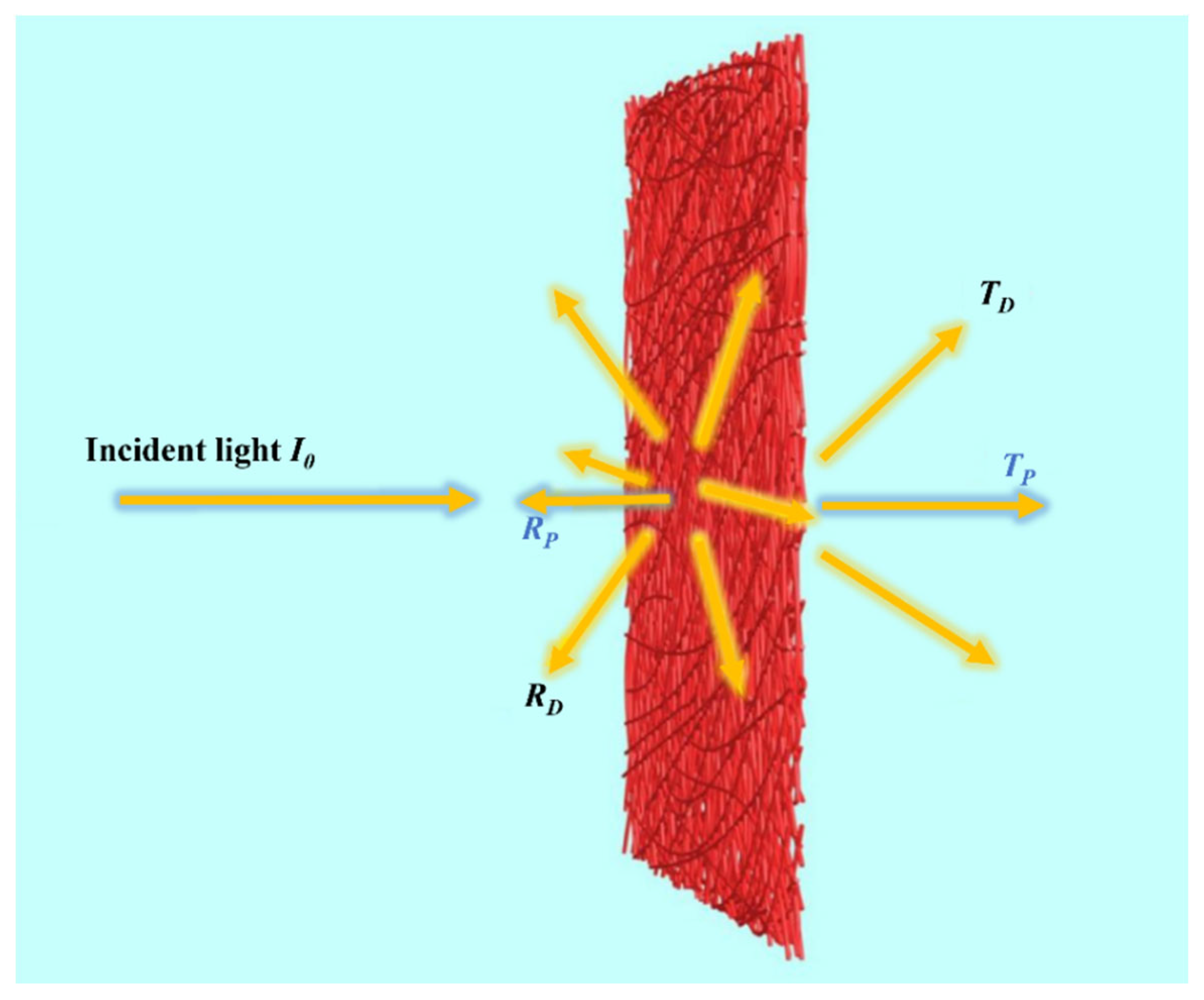 Catalysts 13 00986 g005