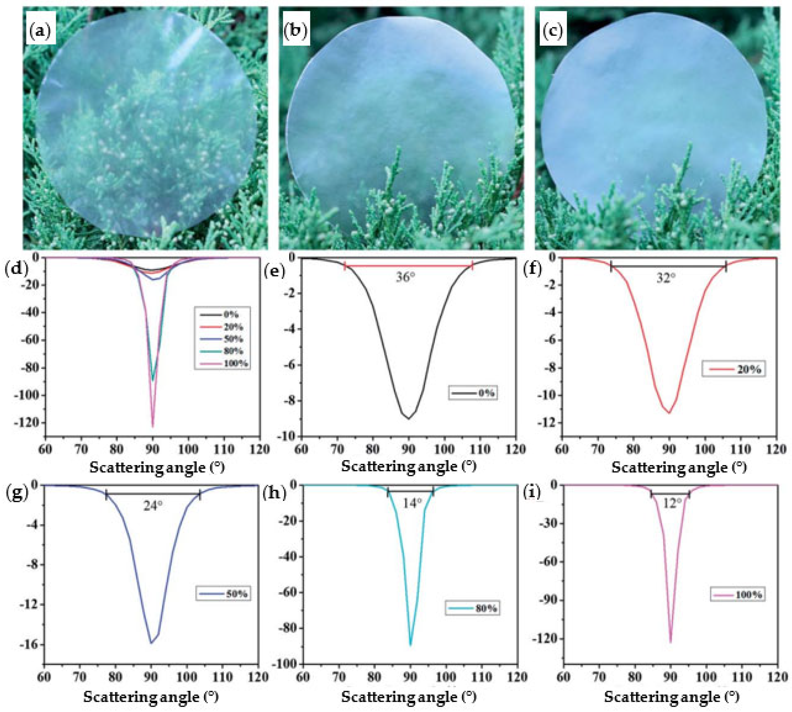 Catalysts 13 00986 g006