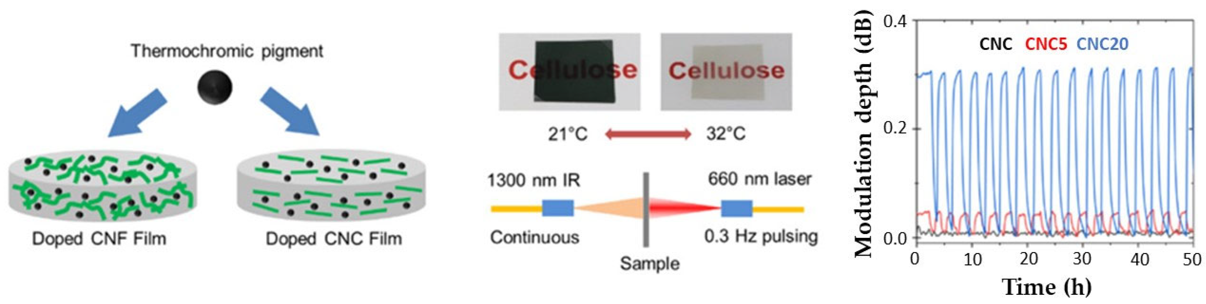 Catalysts 13 00986 g009