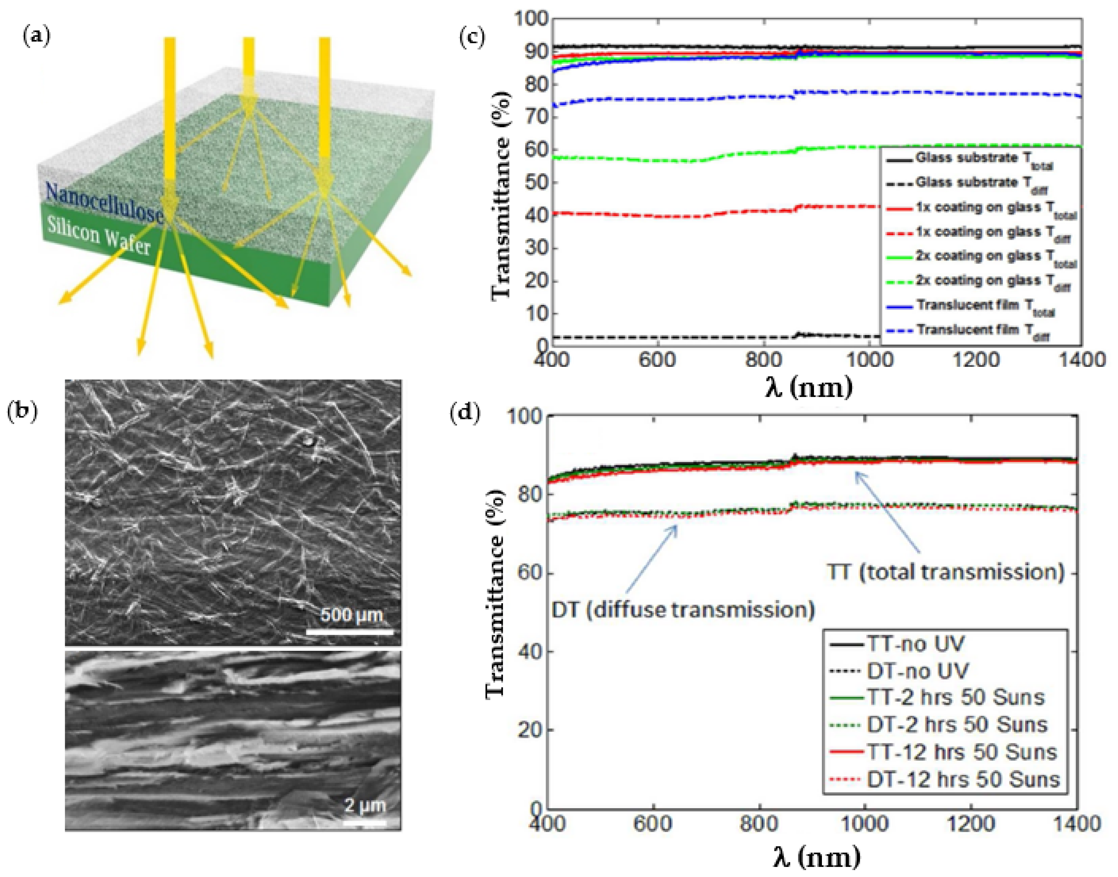 Catalysts 13 00986 g010