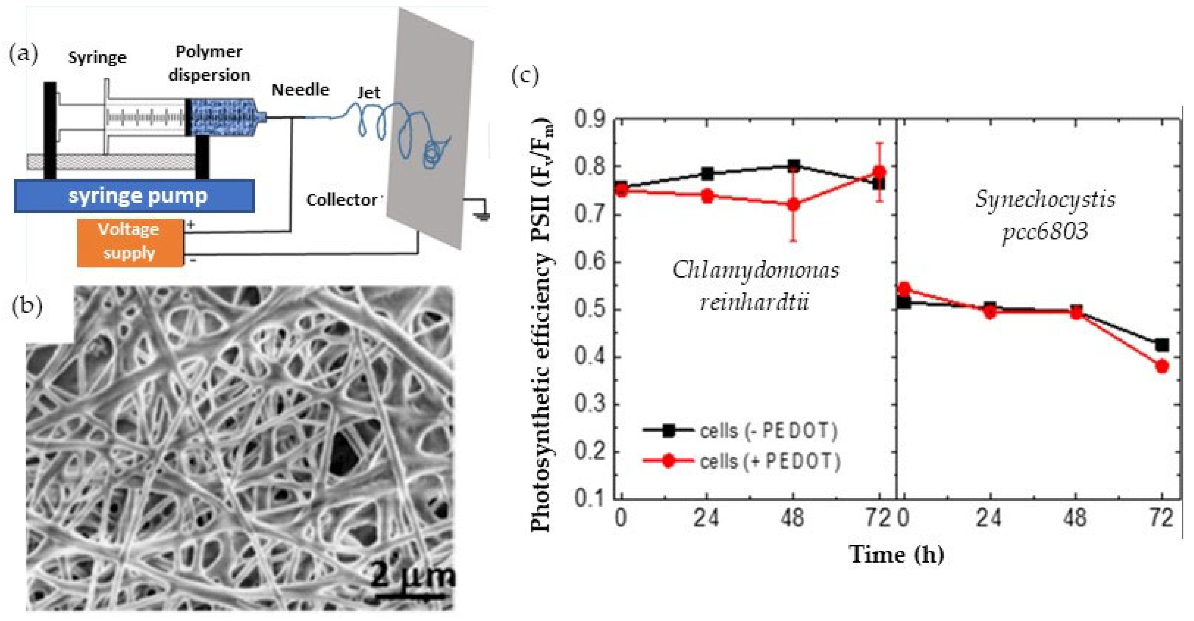Catalysts 13 00986 g020