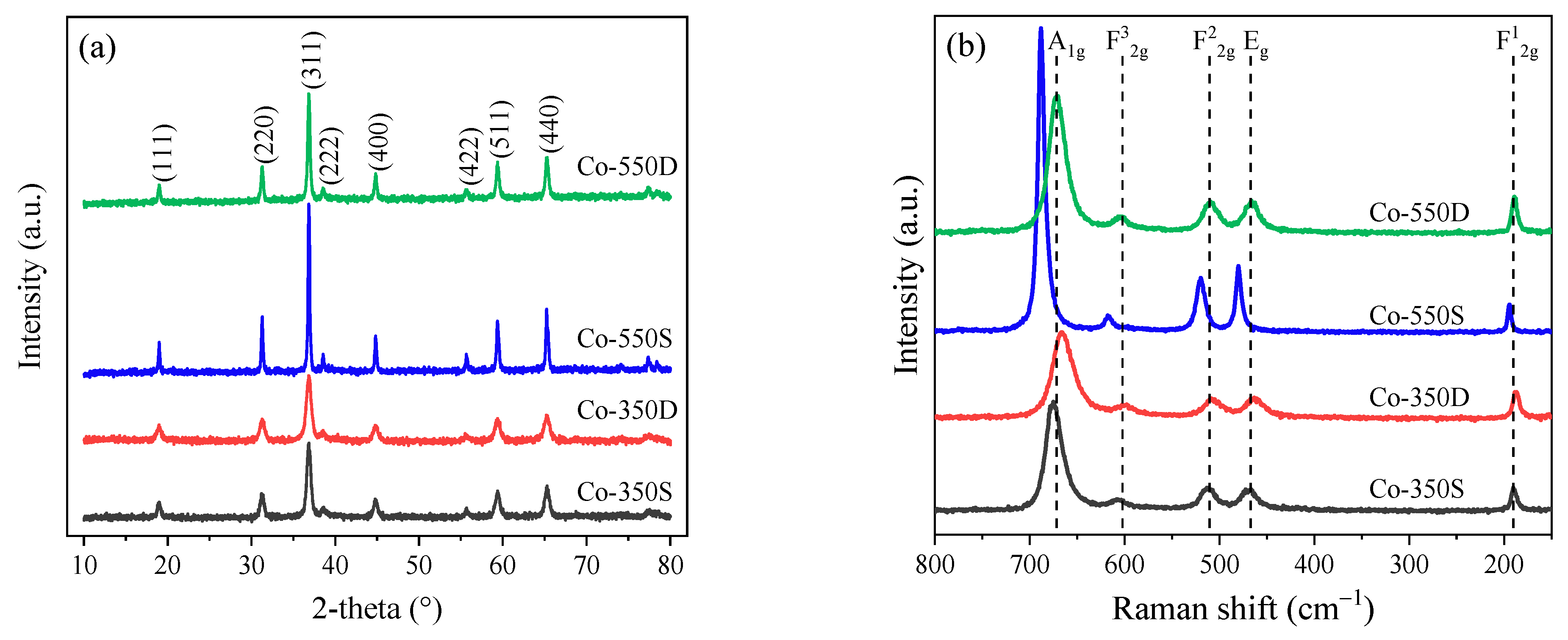 Catalysts 13 00992 g001