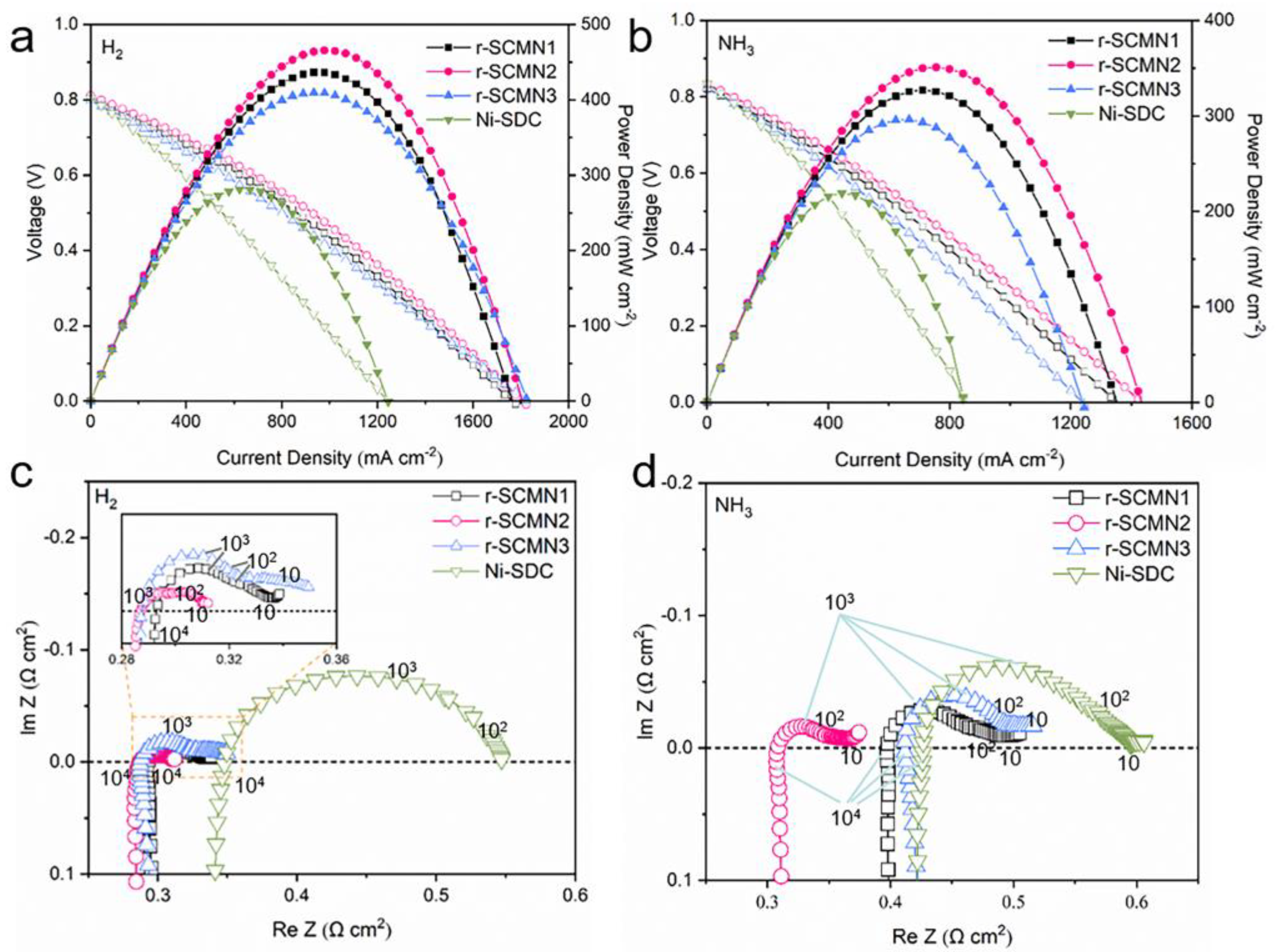 Catalysts 13 00996 g005