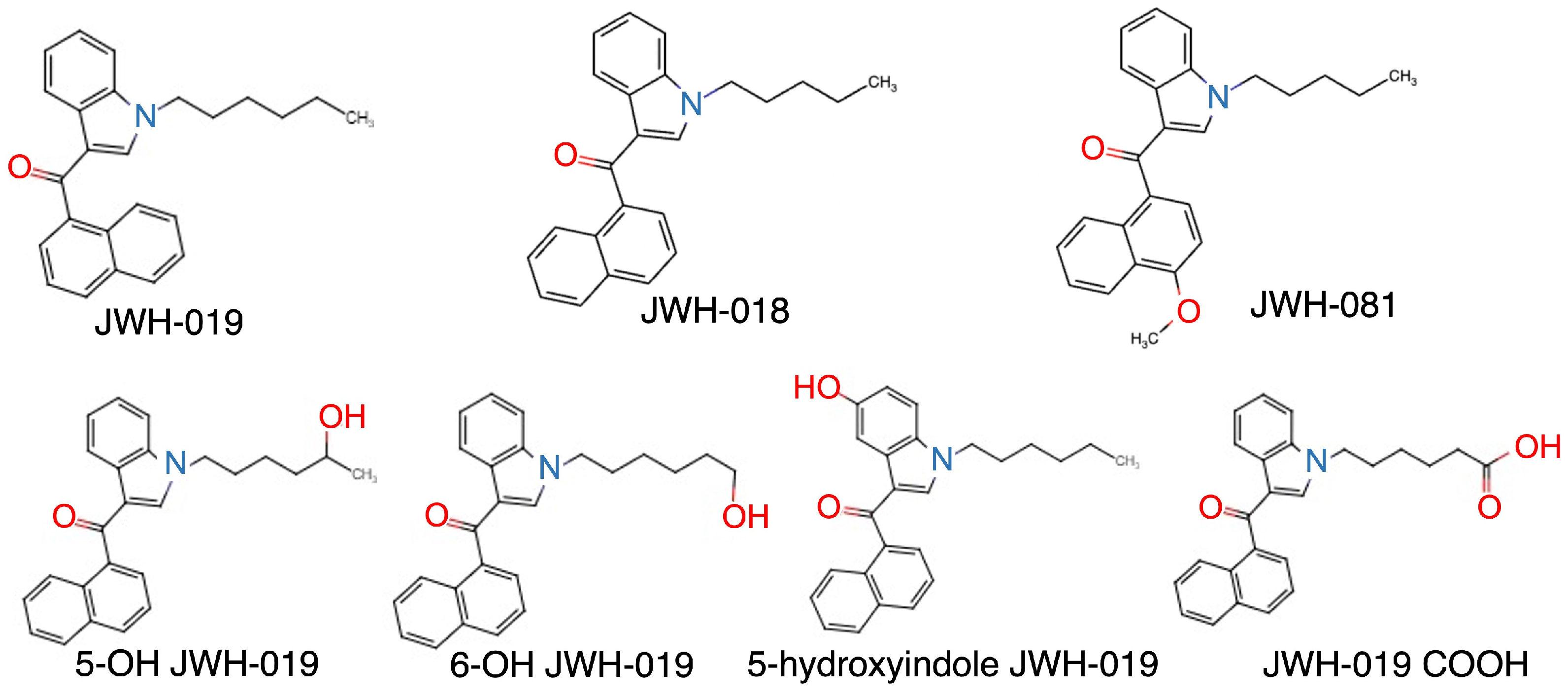 Catalysts 13 01008 g001